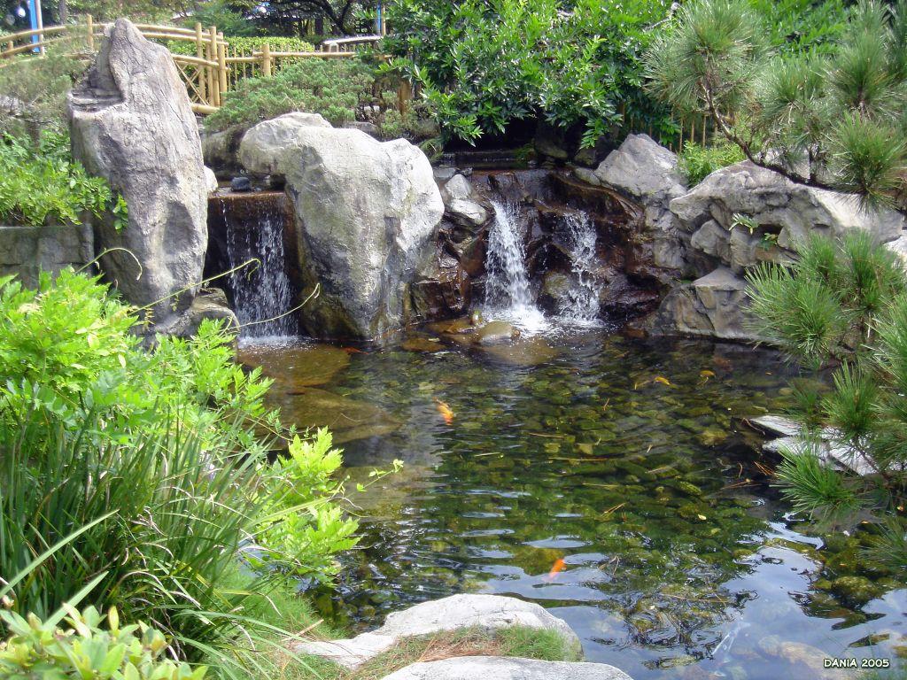 1024x768 Koi Pond Wallpaper 1024 X 768 By D Ko