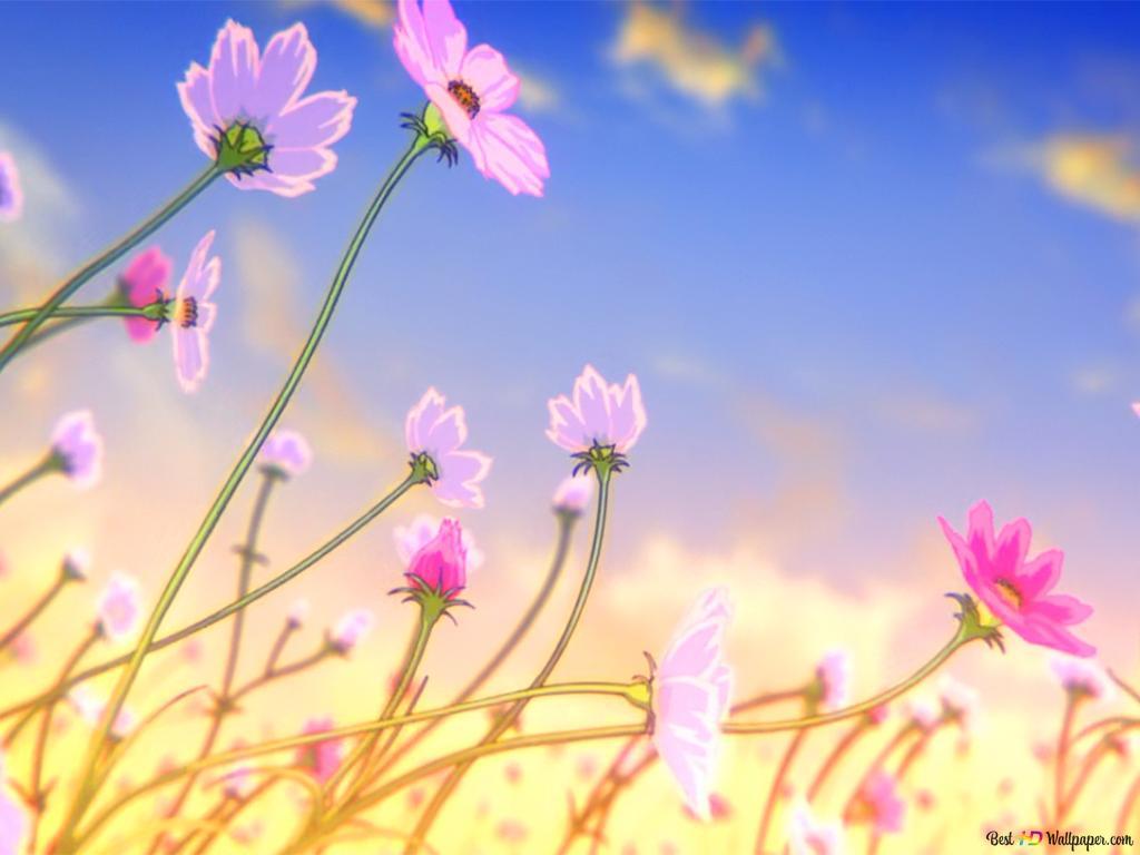 Taman Bunga Wallpapers - Top Free Taman Bunga Backgrounds - WallpaperAccess