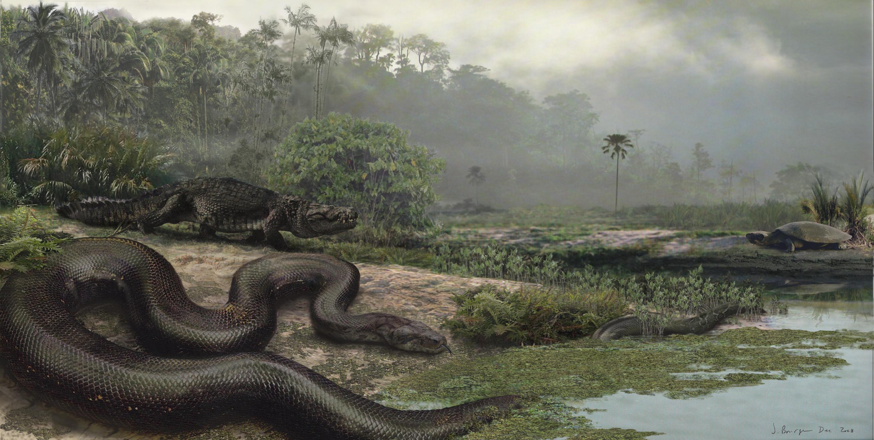 2897x1458 Titanoboa HD Wallpaper and Background