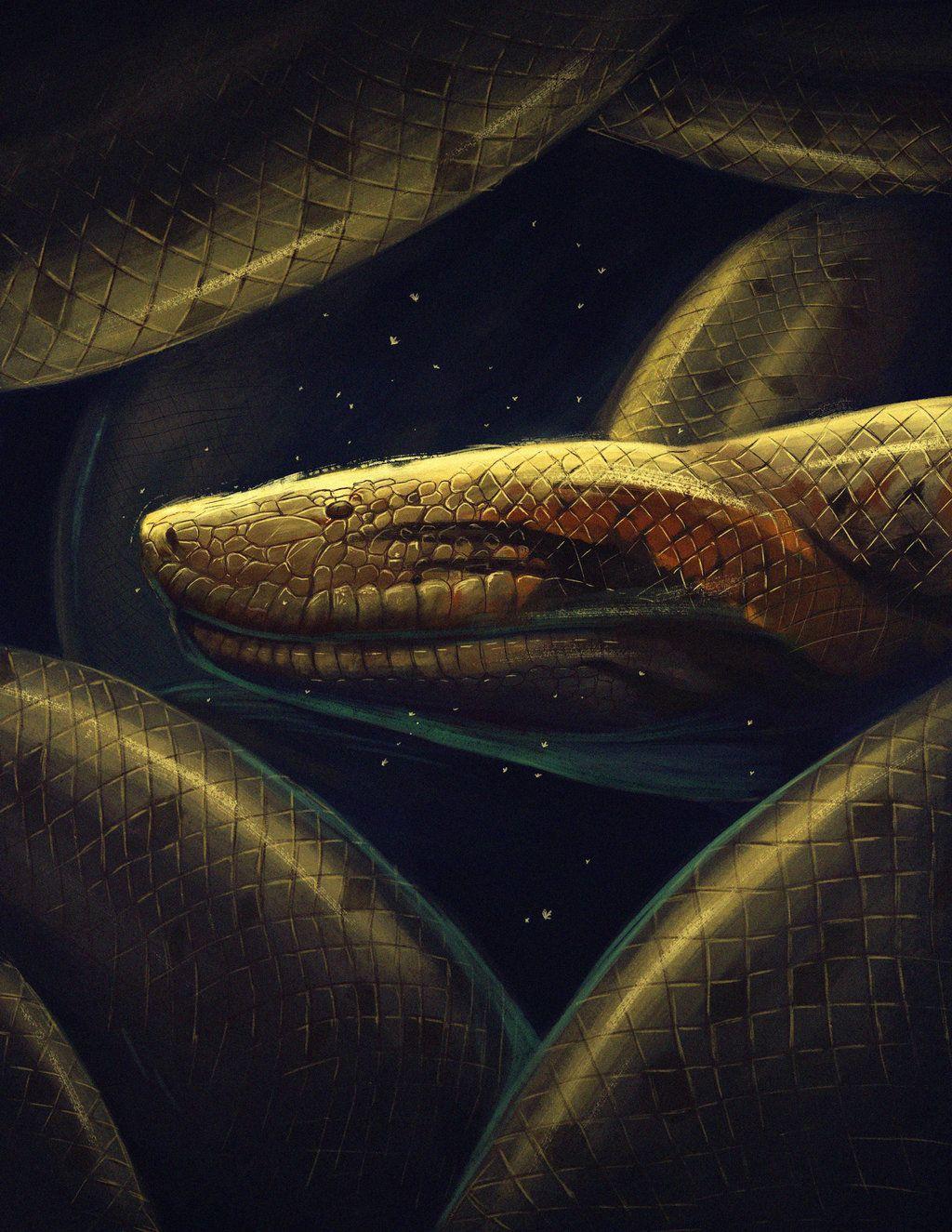 1024x1325 Titanoboa Wallpaper