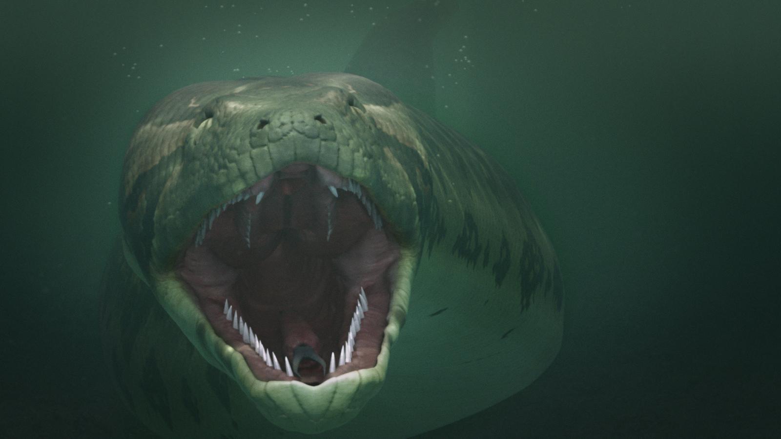 1600x900 In Photo: Titanoboa