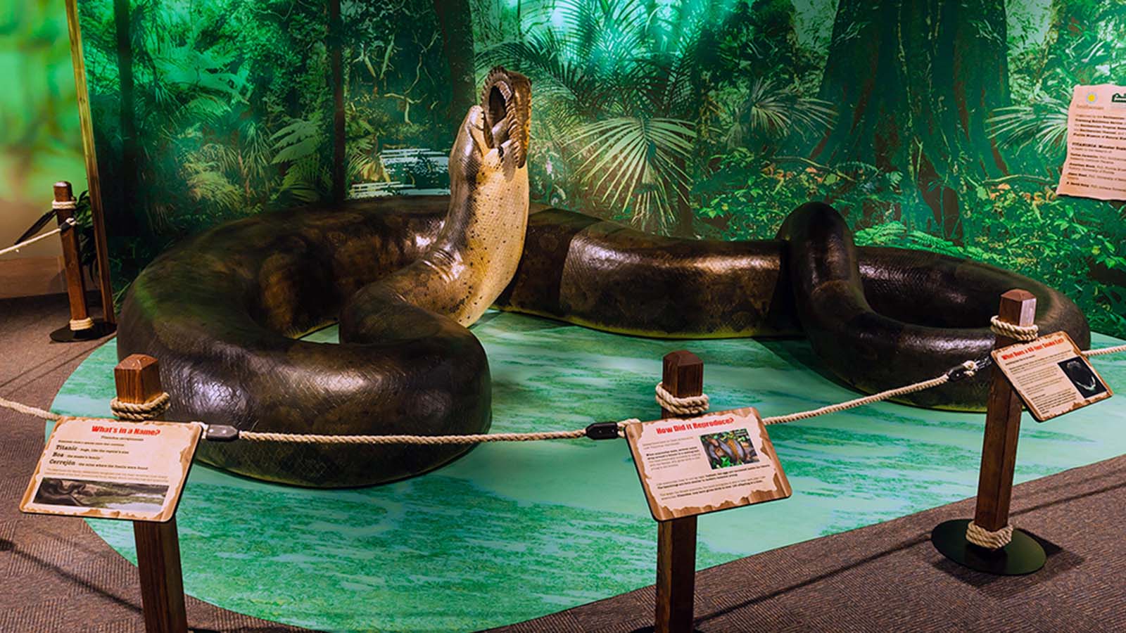 1600x900 The Massive Titanoboa Snake Once Ruled the Colombian Rainforest
