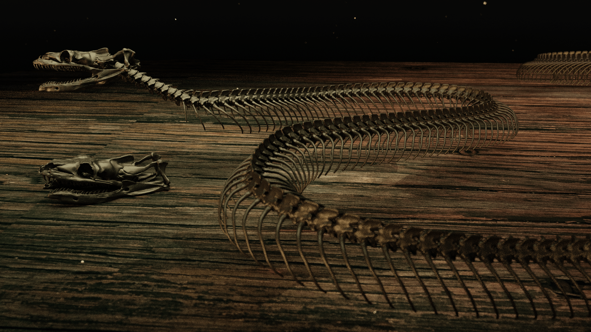 1920x1080 STL file Snake Skeleton Titanoboa・3D printer design to download・Cults