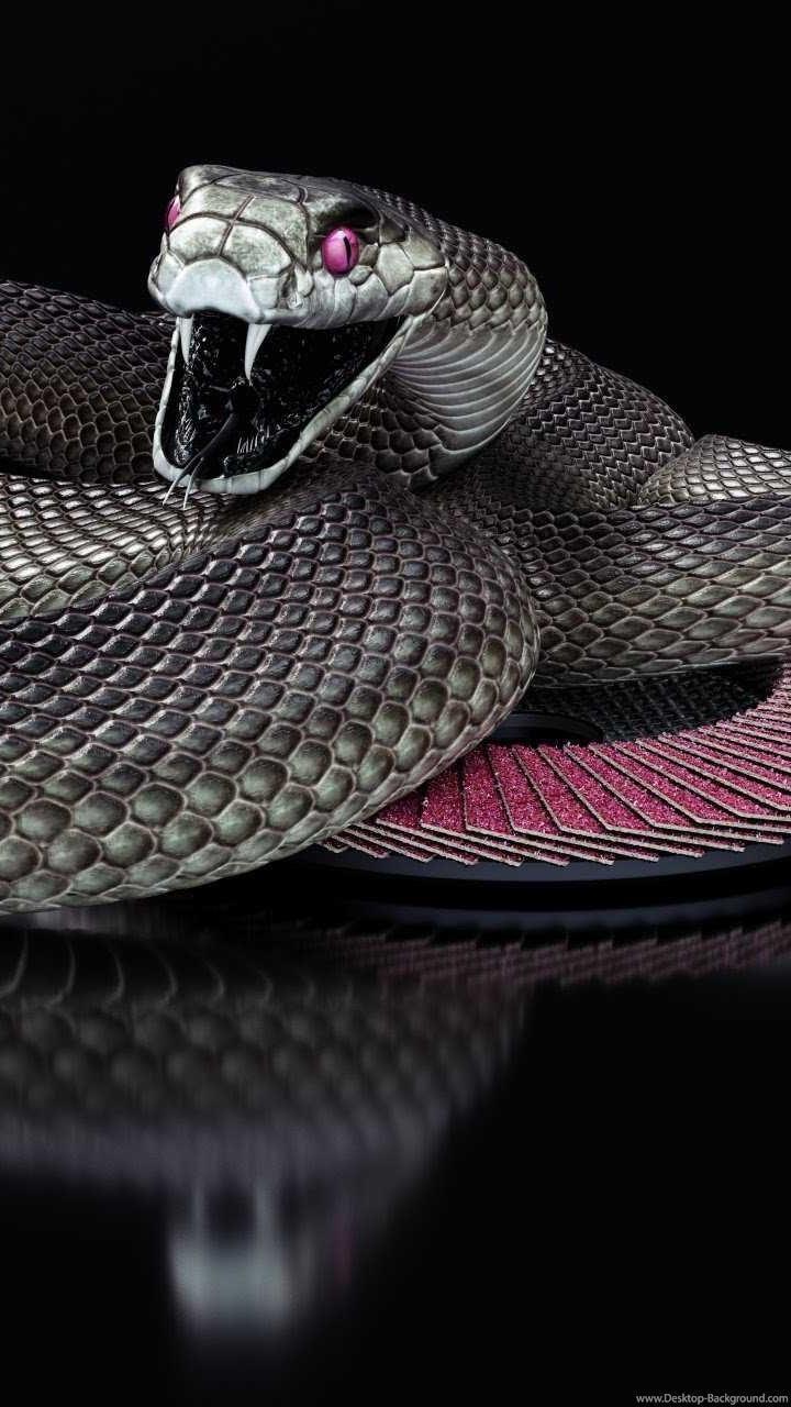 720x1280 Snake HD Wallpaper APK for Android Download