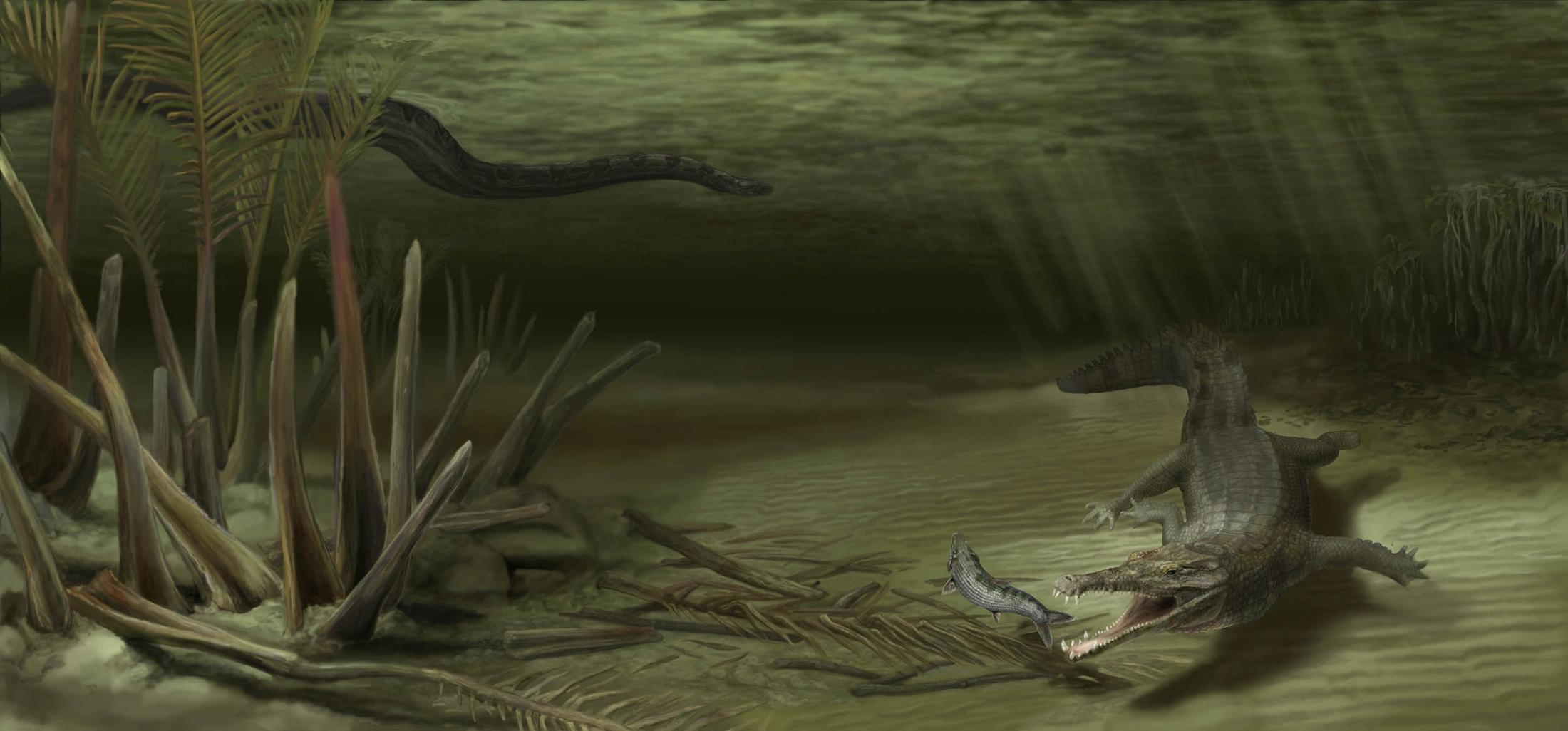 2200x1026 New ancient crocodile relative from land of Titanoboa named