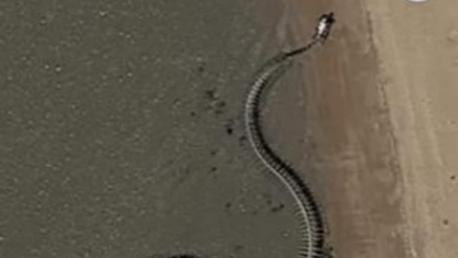 1600x900 Giant Snake Skeleton' Spotted on Google Maps? Truth Behind Viral Photo
