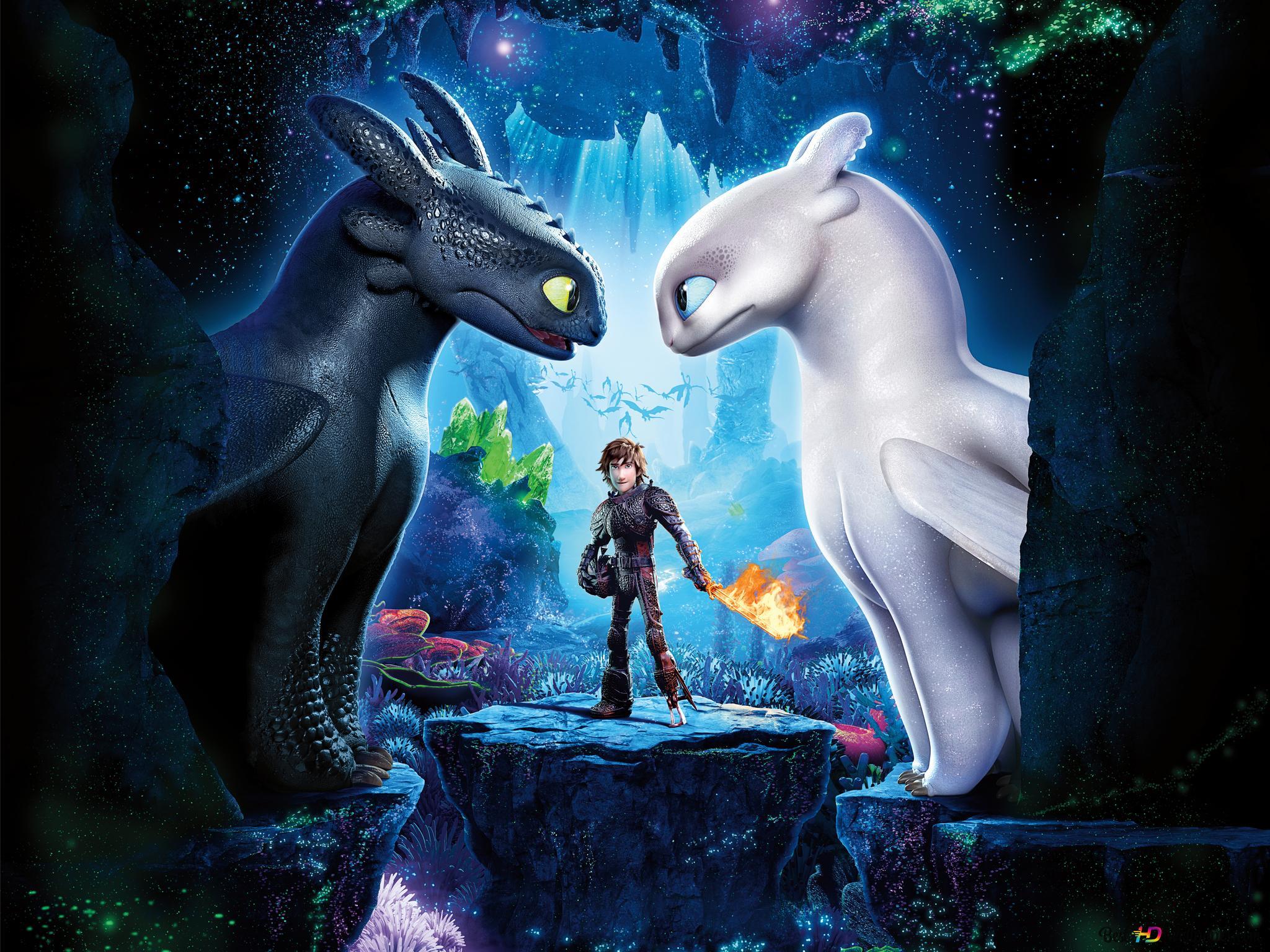 2048x1536 How to train your dragon 3: The hidden world 8K wallpaper download