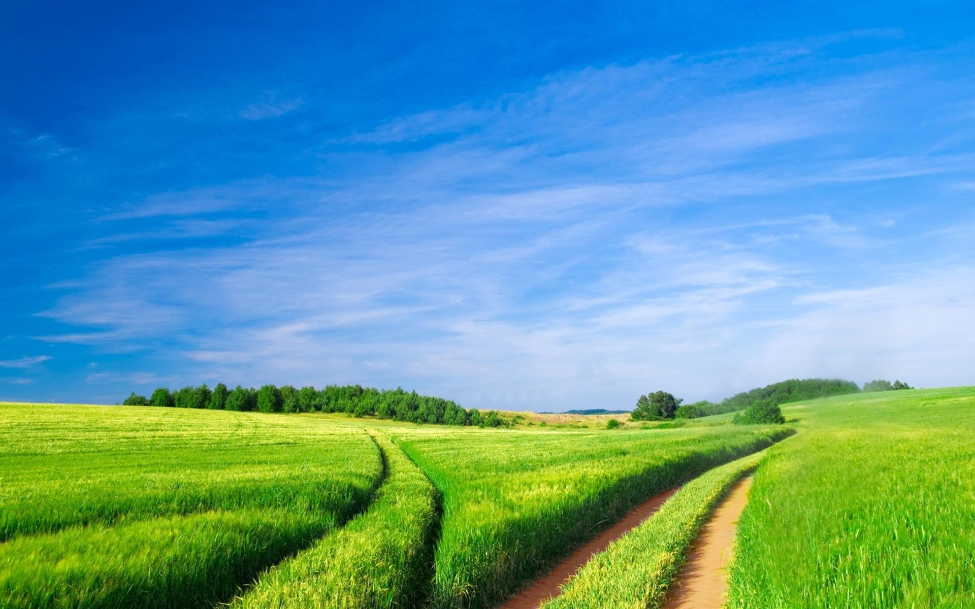 Green Area Wallpapers - Top Free Green Area Backgrounds - WallpaperAccess