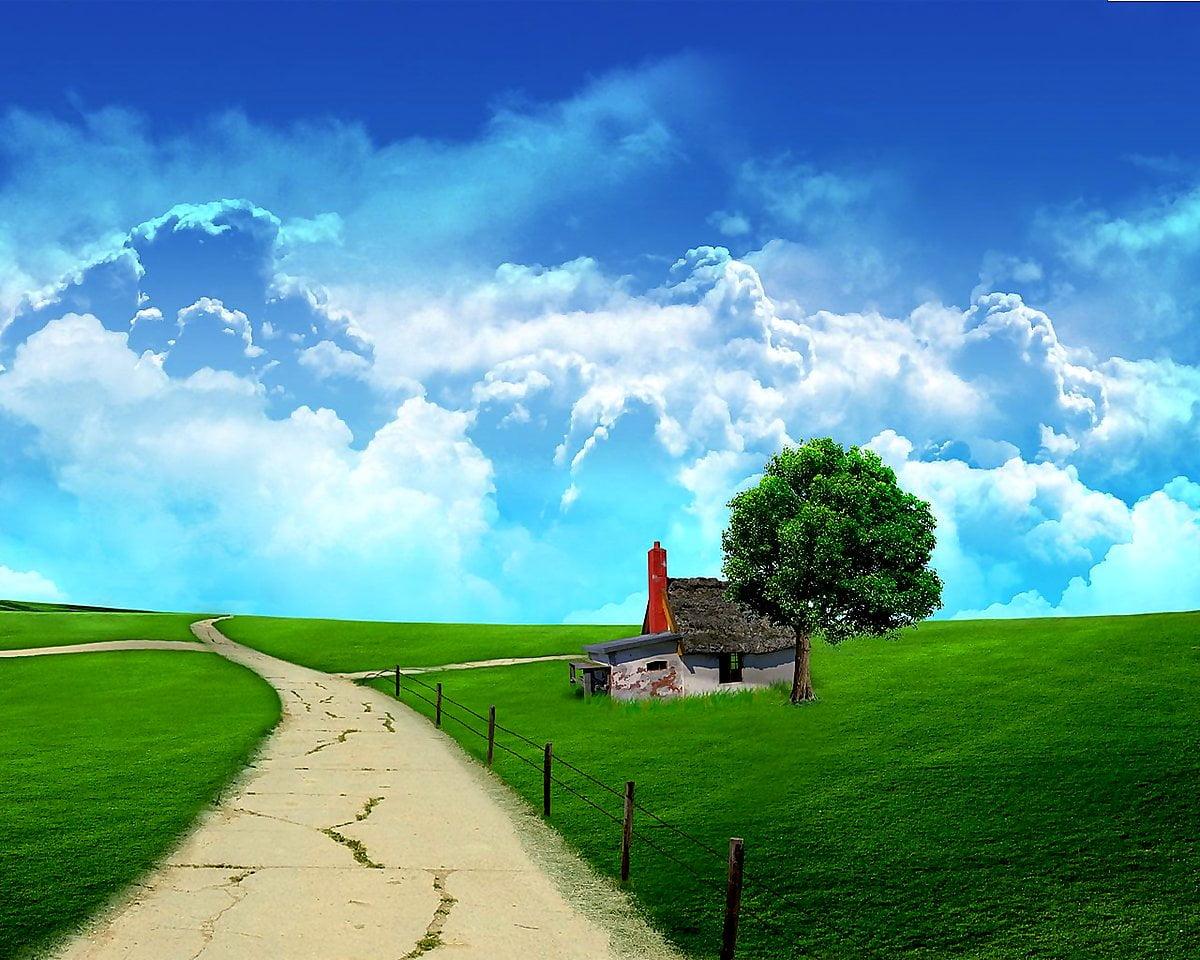 Area Background Green Area Wallpapers - Top Free Green Area Backgrounds - WallpaperAccess