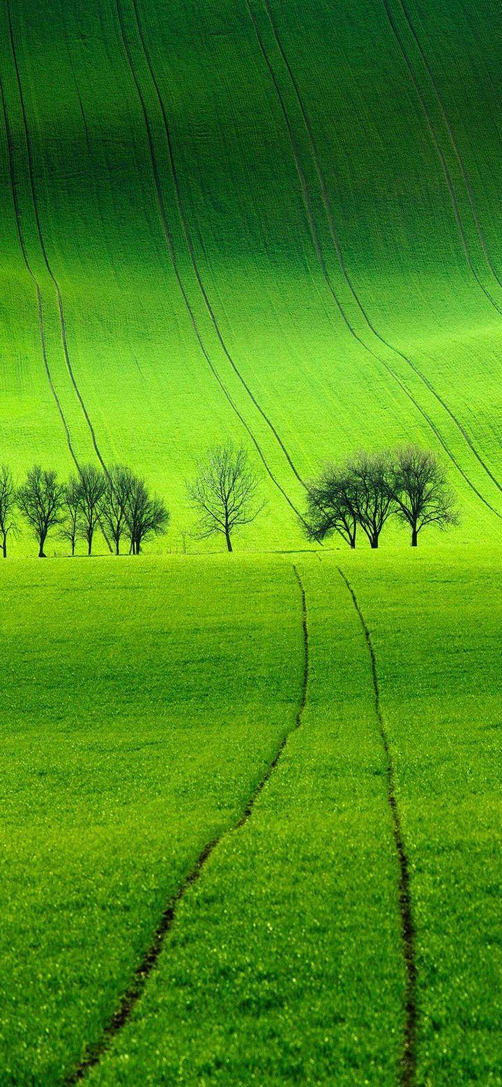 Green Area Wallpapers Top Free Green Area Backgrounds WallpaperAccess
