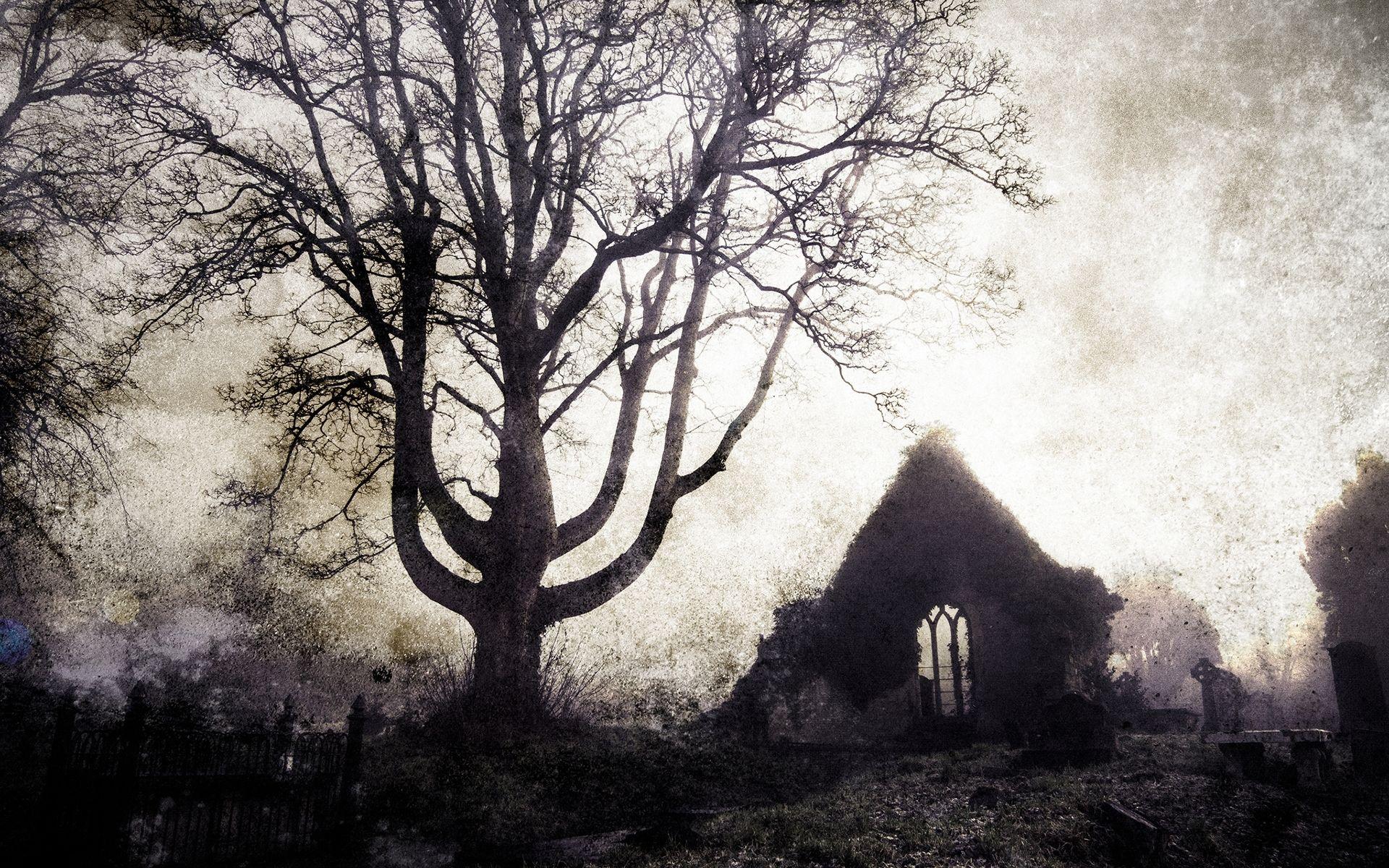 1920x1200 Tree Cemetery Gothic Buildings Ruins Cross Landscapes Wallpaper