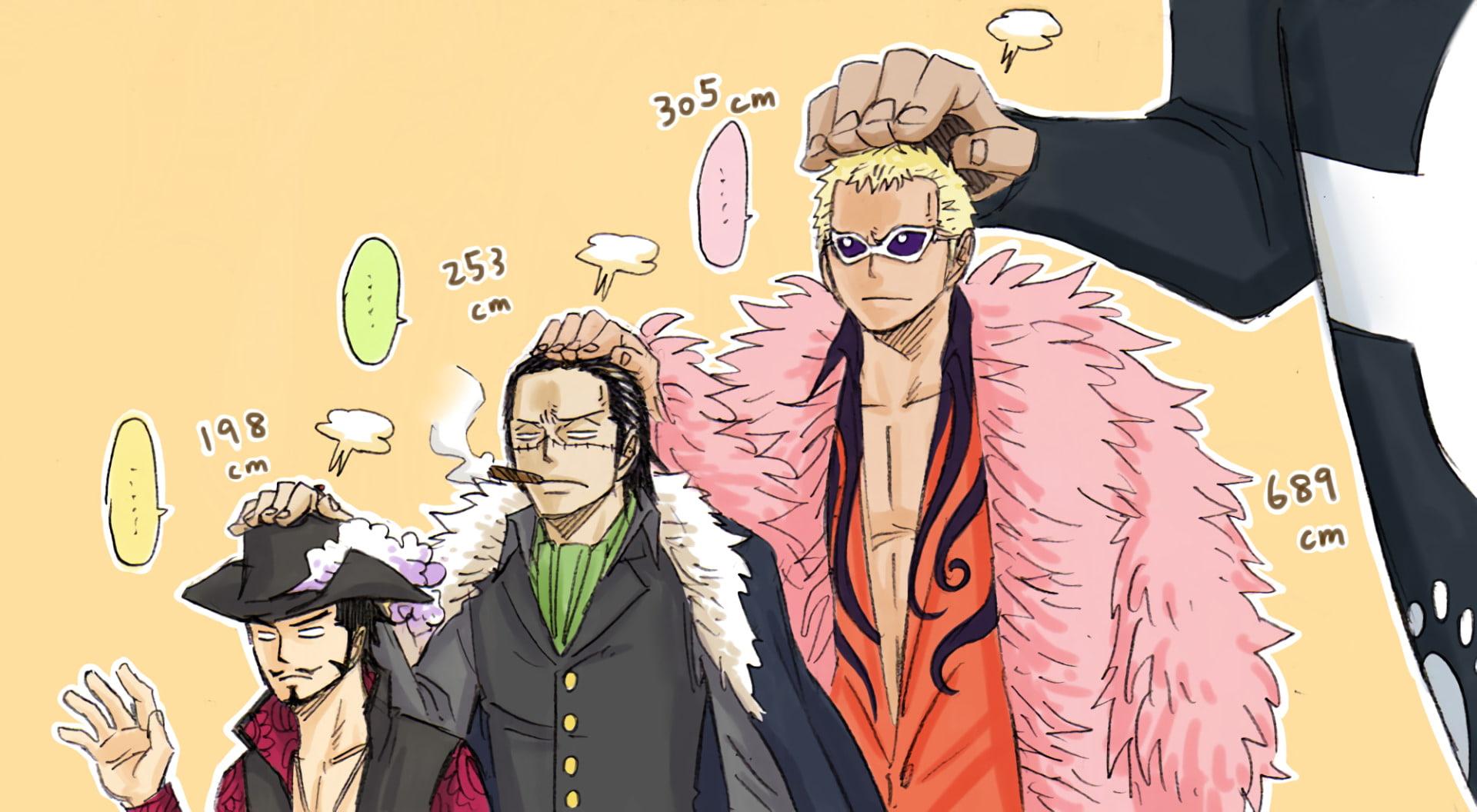 1920x1056 Dracule Mihawk, 1080P, Shichibukai (One Piece), Donquixote Doflamingo, One Piece, Anime HD Wallpaper