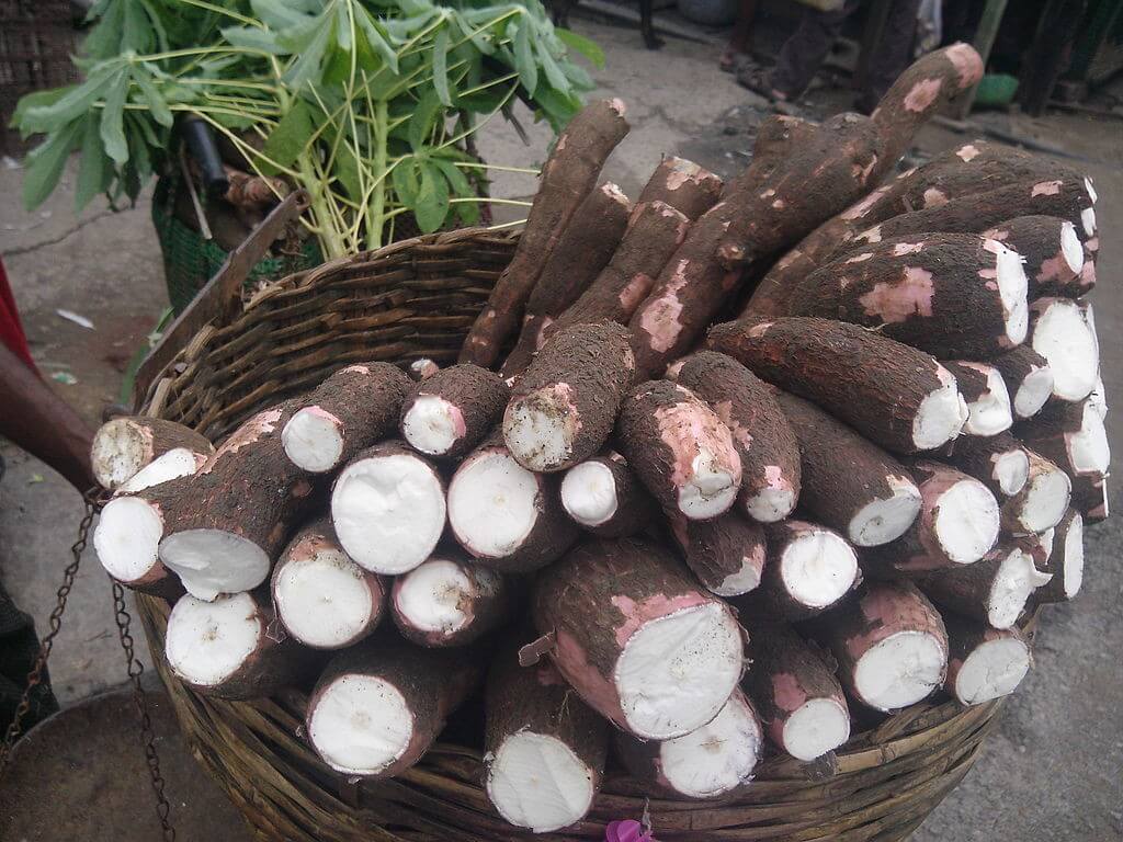 1024x768 Things You Need to Know About Cassava Flour