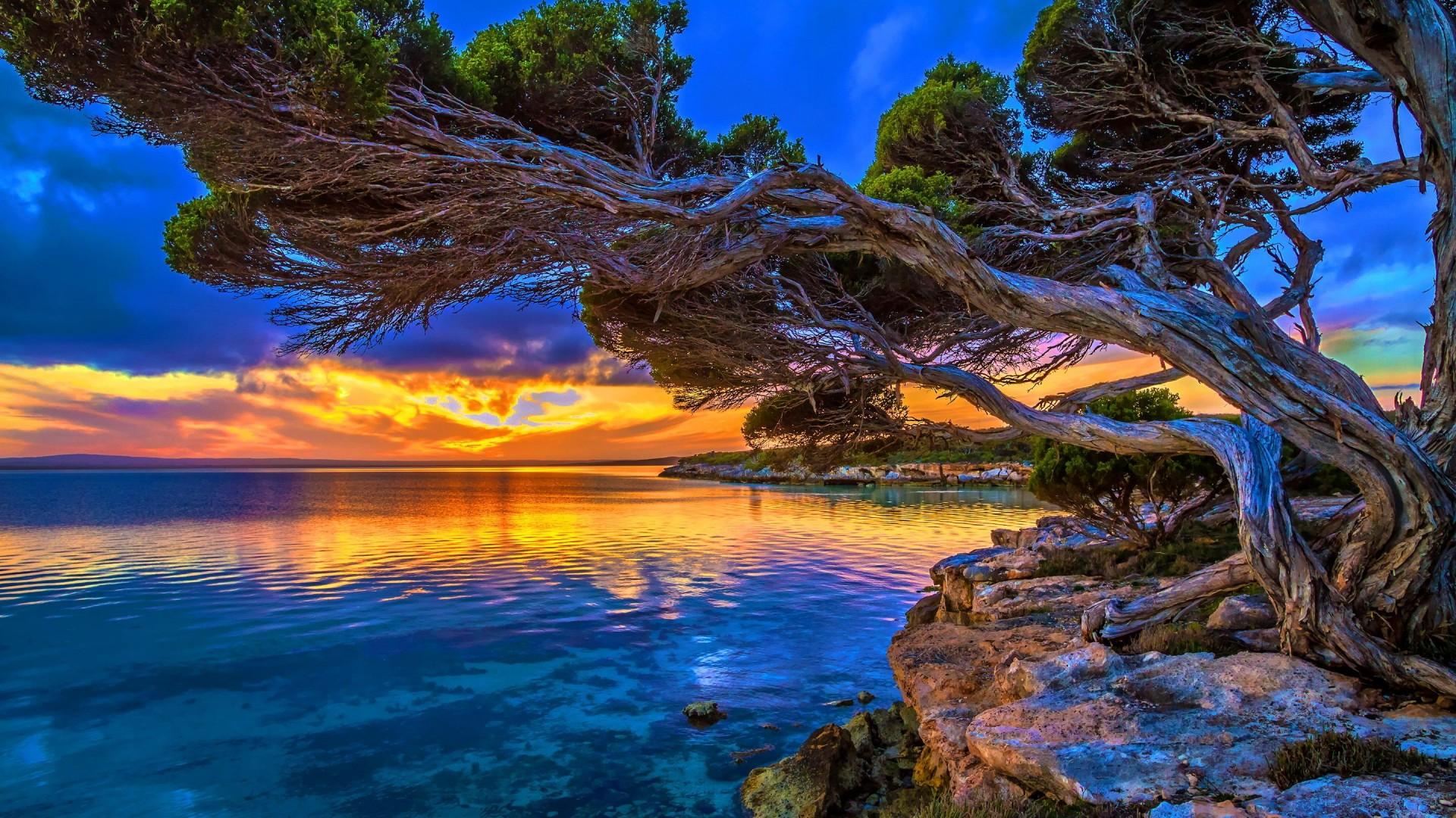 1920x1080 Coastal Sunset In Park Lakeshore Paradise HD For Your XFCE Desktop
