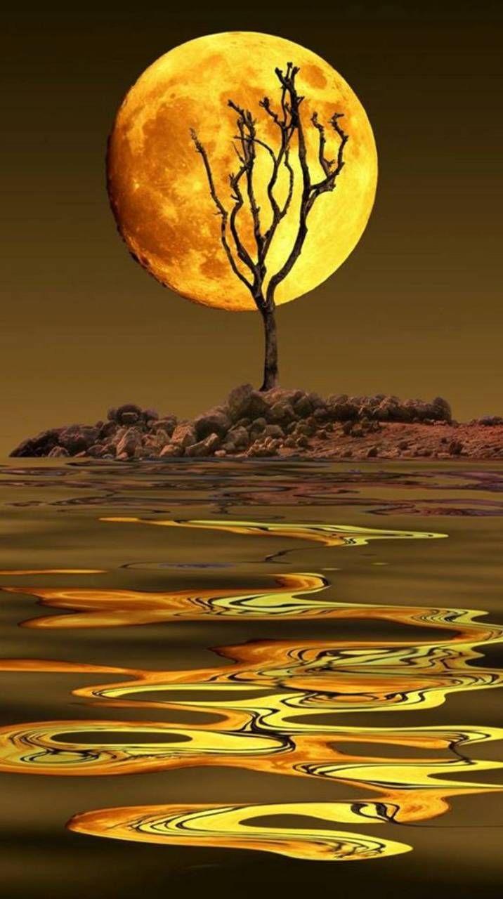 Golden Moon Wallpapers - Top Free Golden Moon Backgrounds - WallpaperAccess