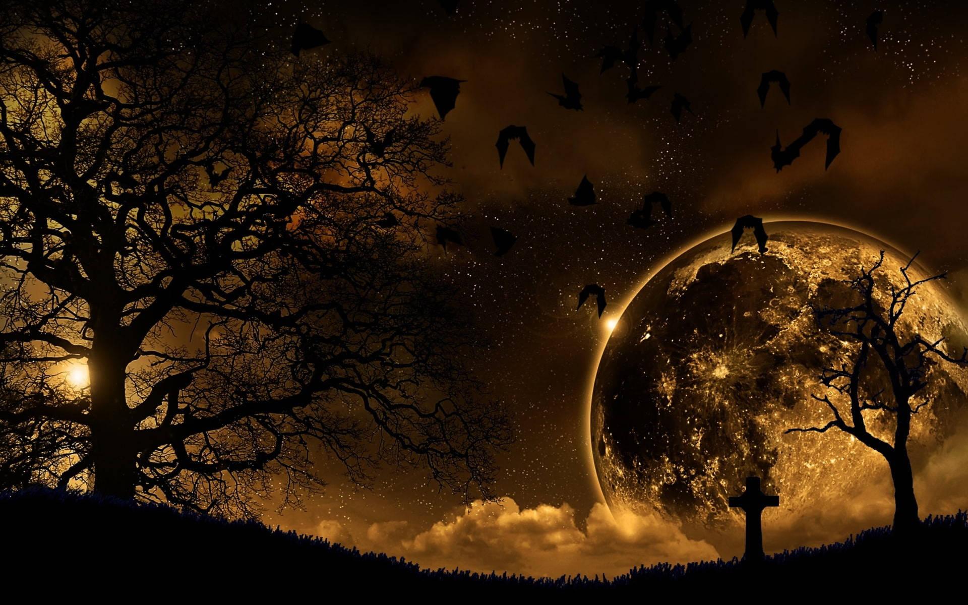 Golden Moon Wallpapers - Top Free Golden Moon Backgrounds - WallpaperAccess
