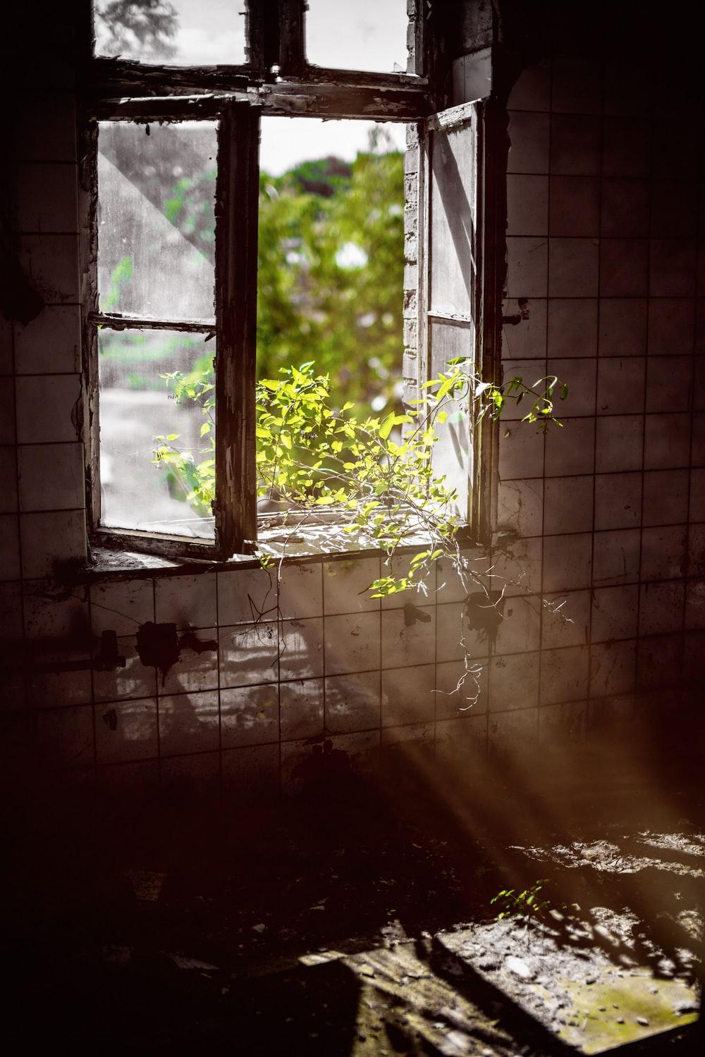 1000x1500 Urban Exploration Picture. Download Free Image