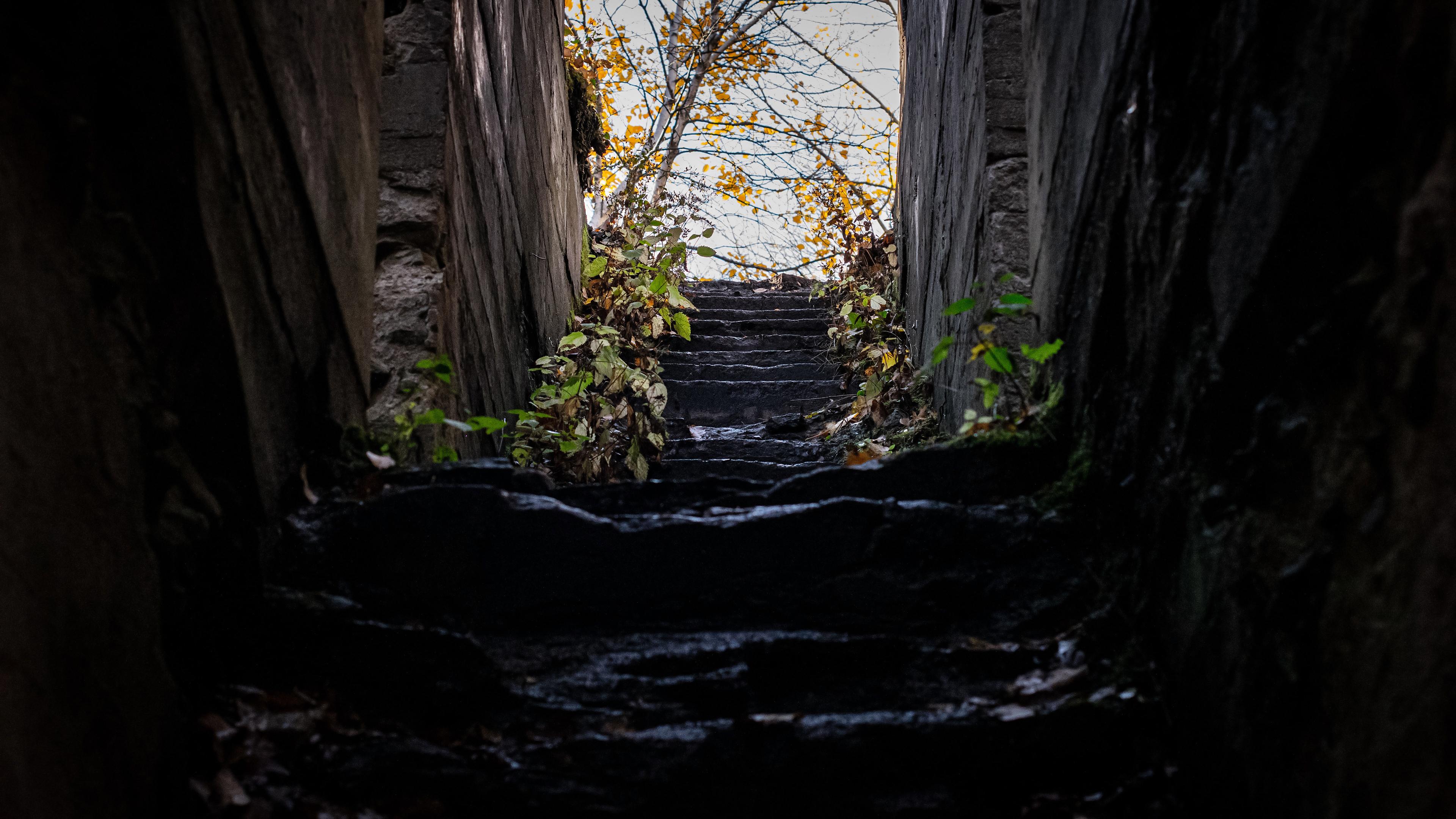 3840x2160 Stairs Abandoned Urbex Overgrown Birch Concrete Kyle Larivee Wallpaper:3840x2160