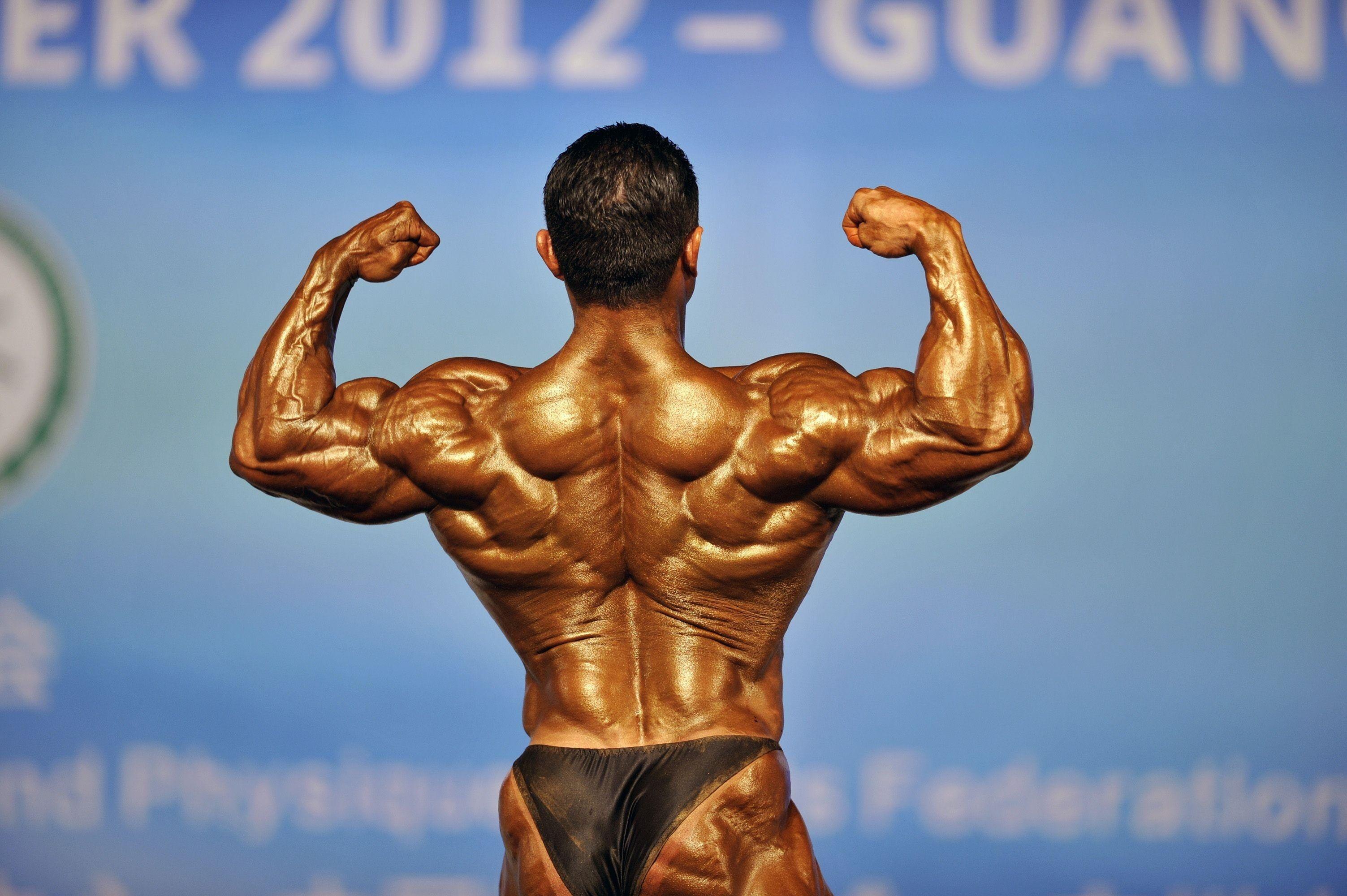 3006x2000 Bodybuilding Wallpaper: 4K, HD, 1920x1080 Phone & Desktop Background