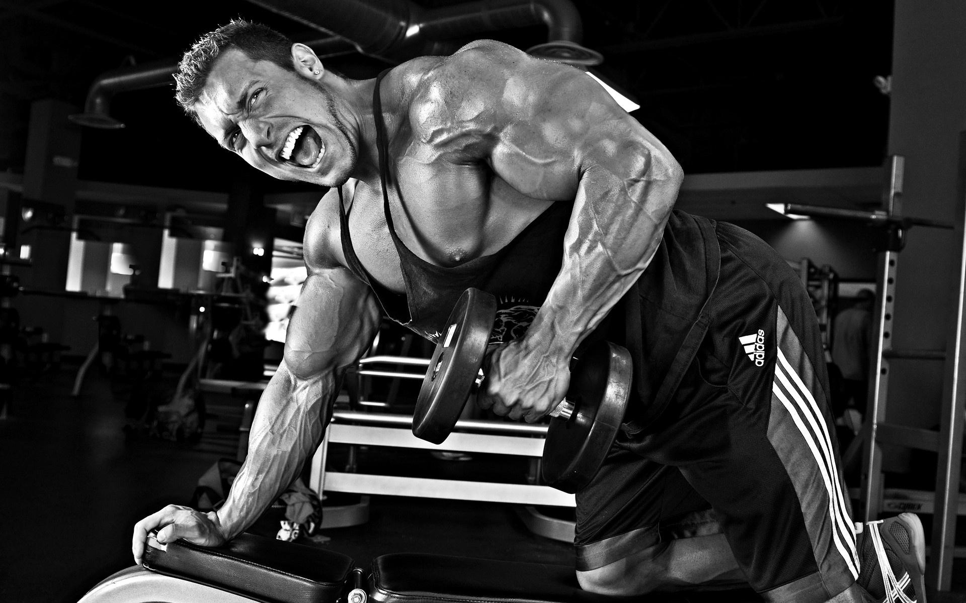 1920x1200 Wallpaper Man in Black Shorts Sitting on Black and Silver Exercise Equipment, Background Free Image