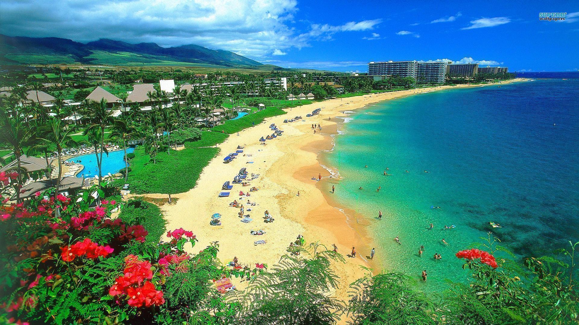 1920x1080 Hawaii Beaches Wallpaper
