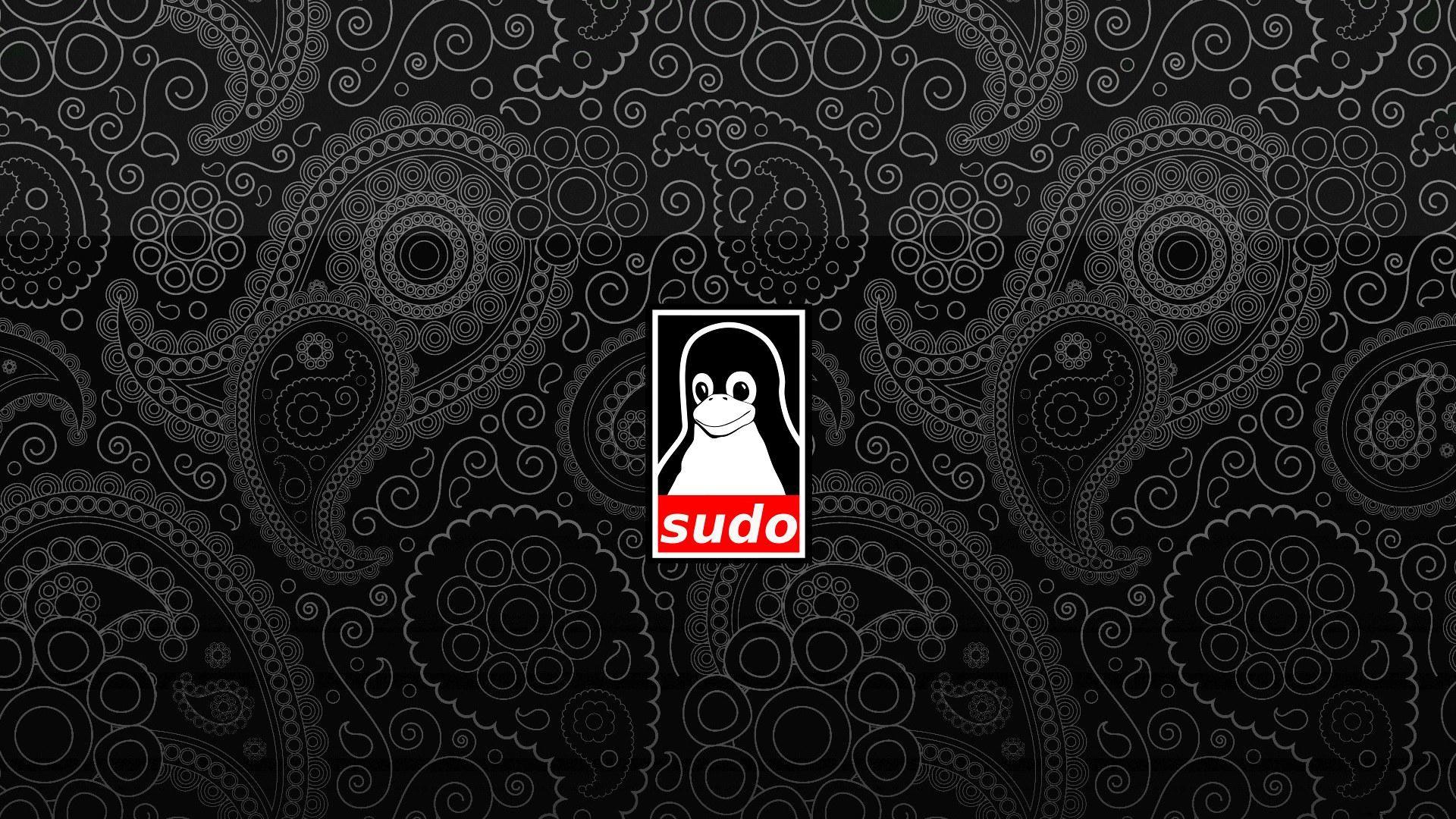1920x1080 OBEYish Linux Sudo Wallpaper • R Wallpaper. Cool Iphone 6 Cases, Linux, R Wallpaper