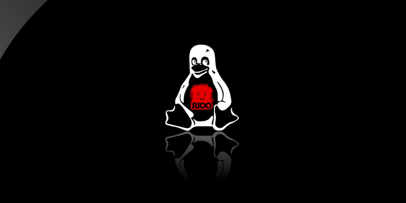 1600x801 New Linux SUDO flaw lets local users gain root privileges