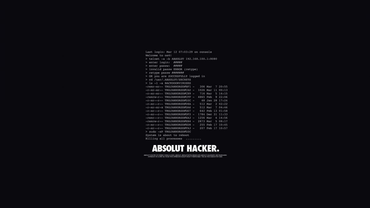 1244x700 Console typography hackers digital art black background wallpaperx1080