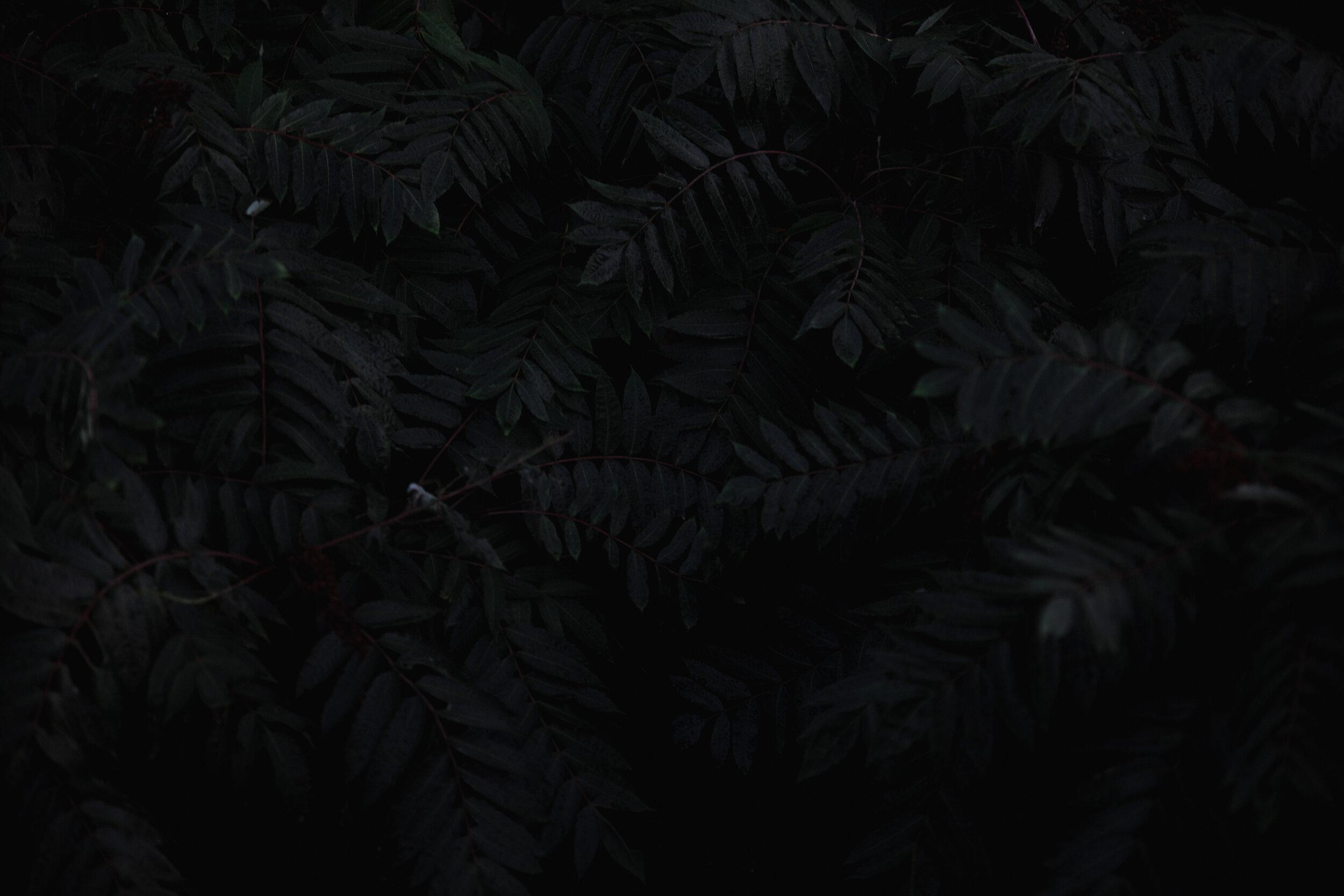 2500x1667 Professional Enhancement