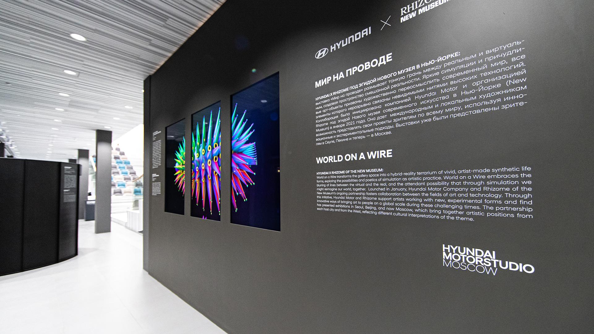 Exhibition Wallpapers - Top Free Exhibition Backgrounds - WallpaperAccess