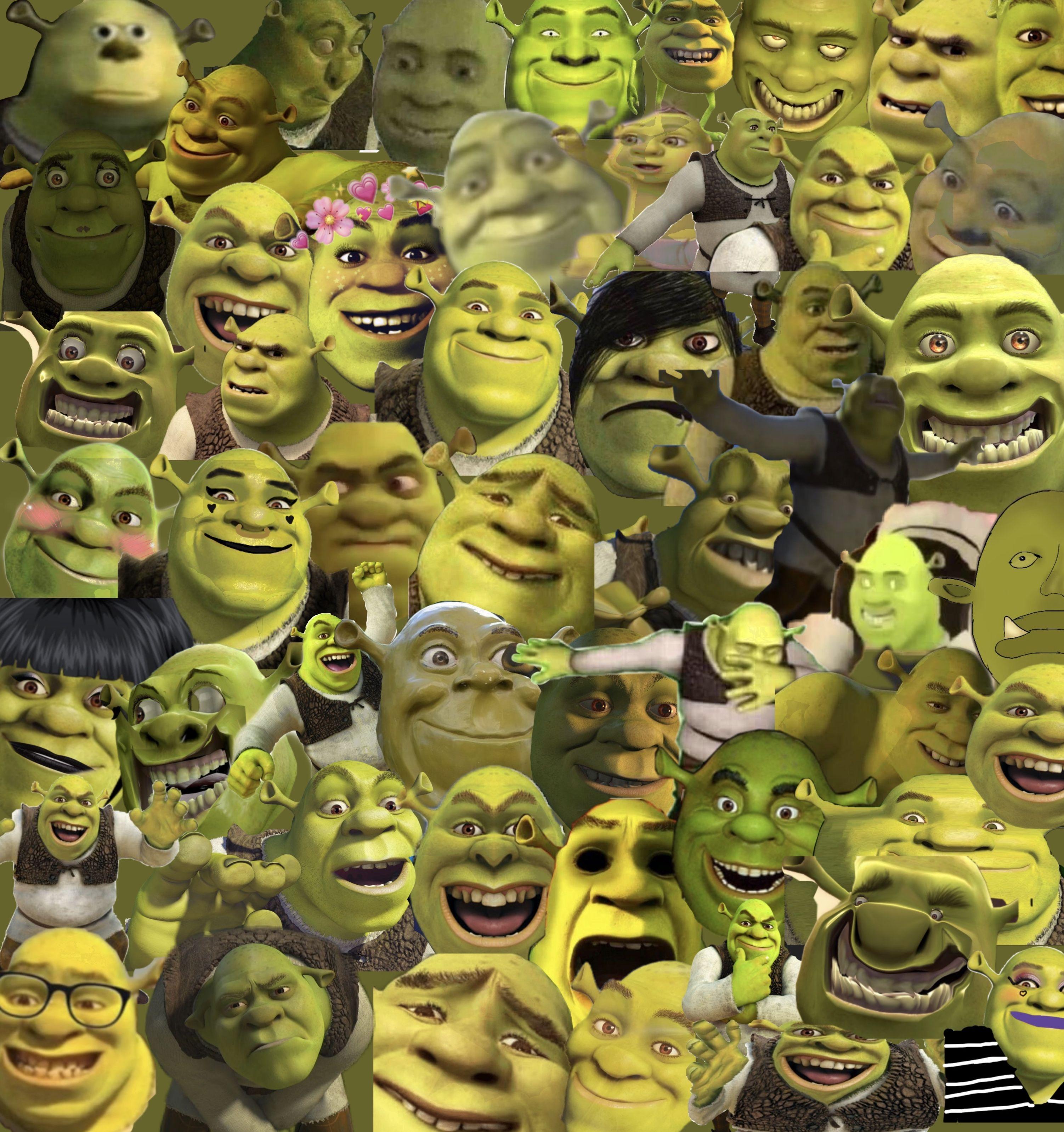 3004x3195 Baddie Shrek Wallpaper