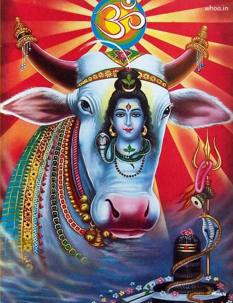 Shiva God Wallpapers Top Free Shiva God Backgrounds Wallpaperaccess