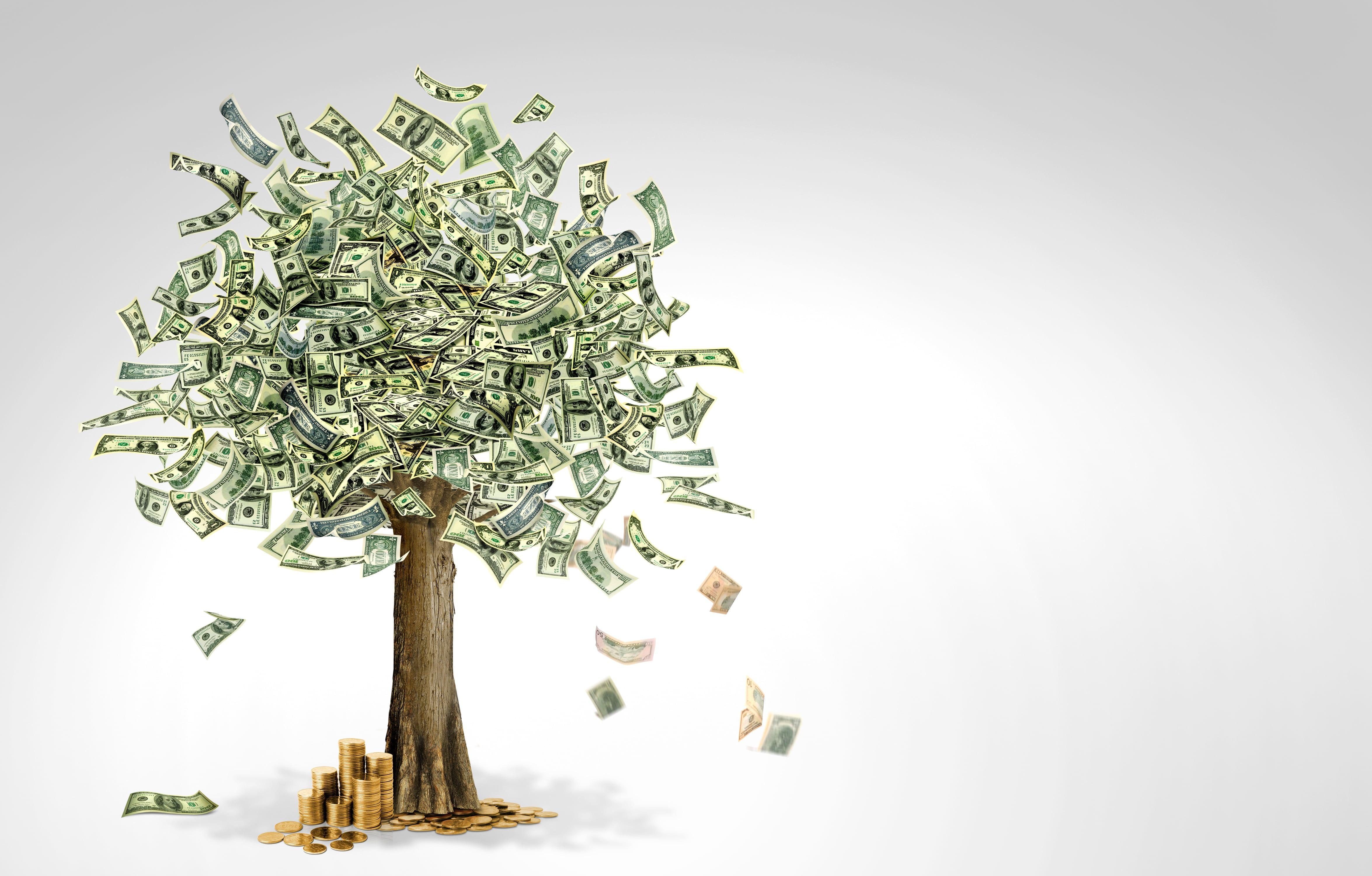 4700x3000 tree #money #currency K #wallpaper #hdwallpaper #desktop. Hair salon interior, World map wallpaper, Manifestation