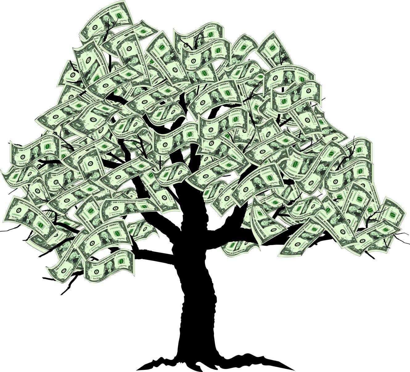 1330x1207 Money Tree Wallpaper Money Tree Americans Center