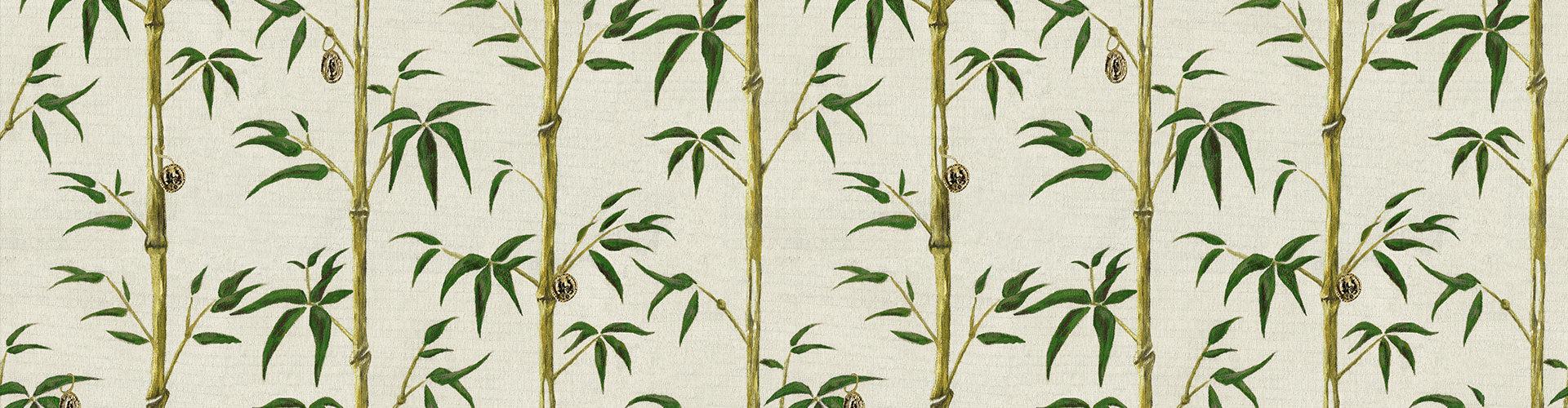 1920x500 Money Tree