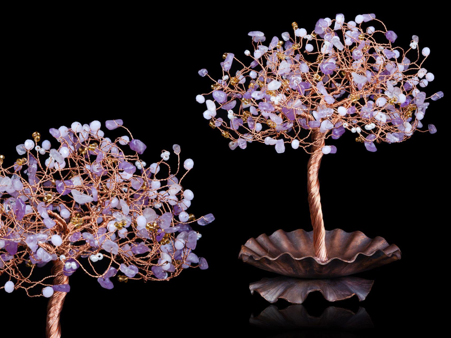 1708x1281 Feng Shui Money Tree: Placement, Direction, Types, and Image