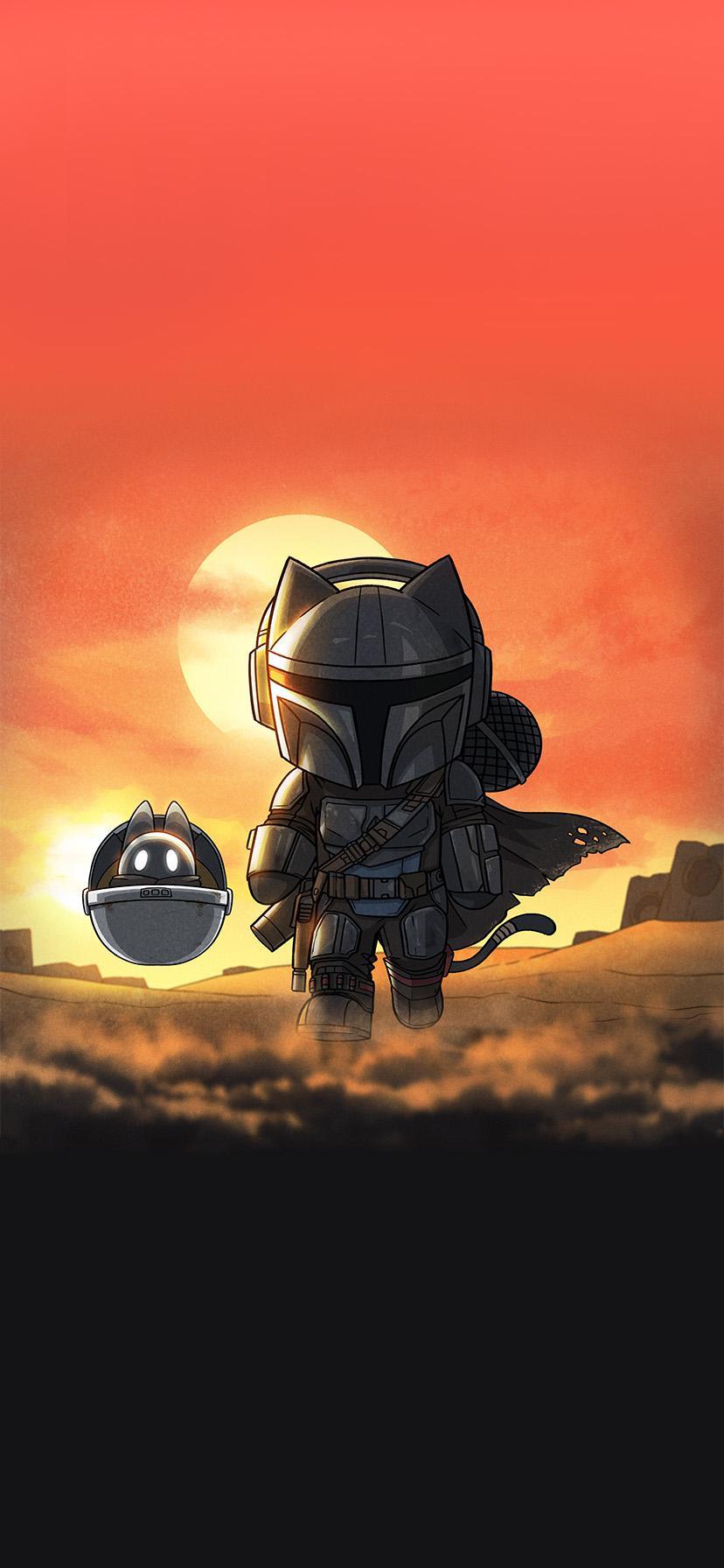 828x1792 Meowdalorian IPhone 11 XR Wallpaper (828 X 1792)