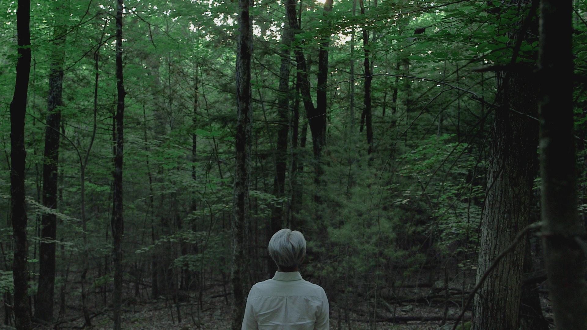 1920x1080 Ryuichi Sakamoto: Coda (2017)