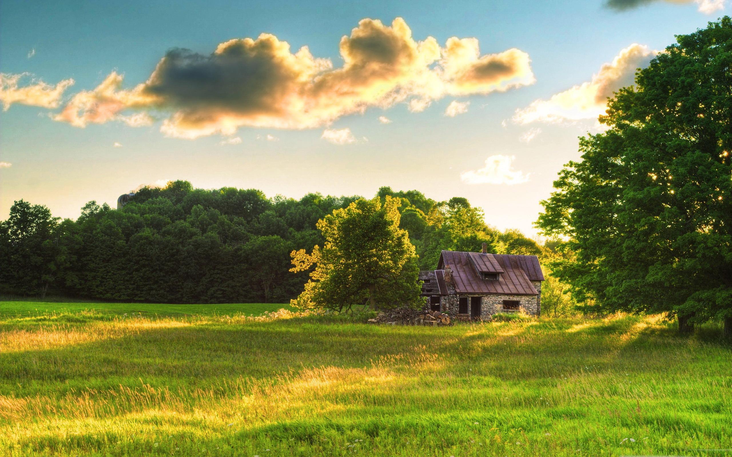 2560x1600 House Beautiful Natural Landscape Wallpaper