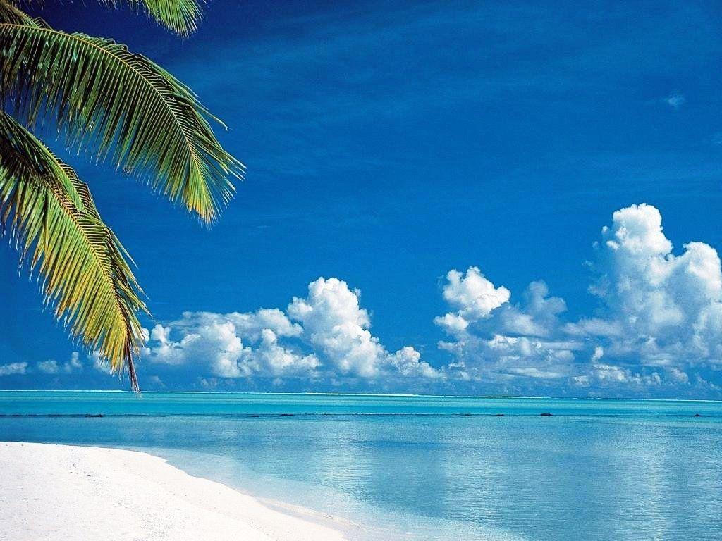 1024x768 1024x768px Peaceful Anime Wallpaper