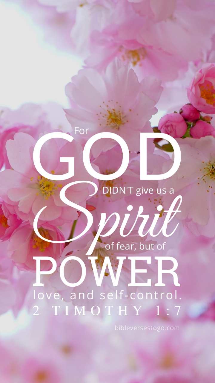 720x1280 Pink Bloom 2 Timothy 1:7
