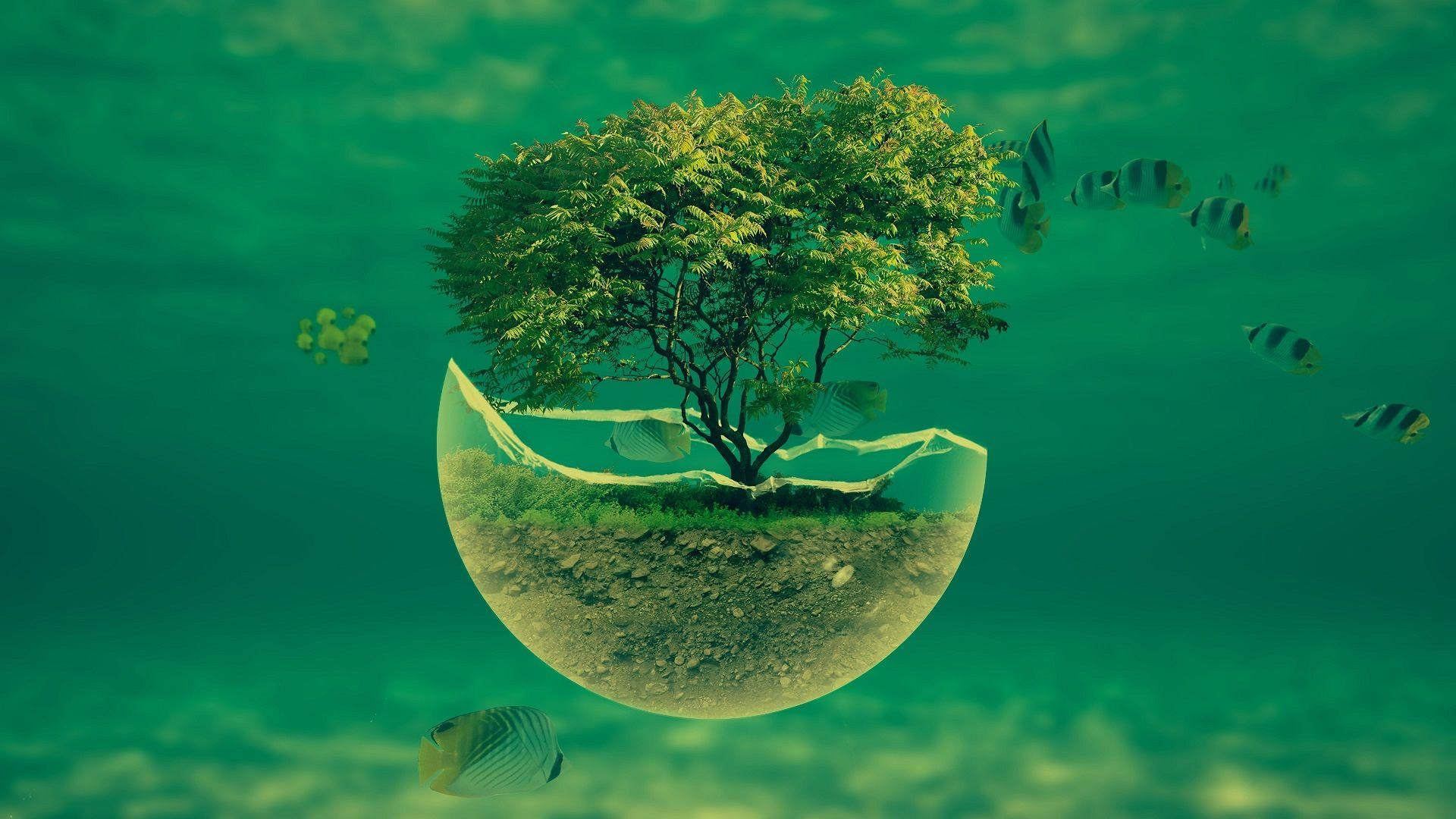 Eco Friendly Background Images HD Pictures and Wallpaper For Free Download   Pngtree