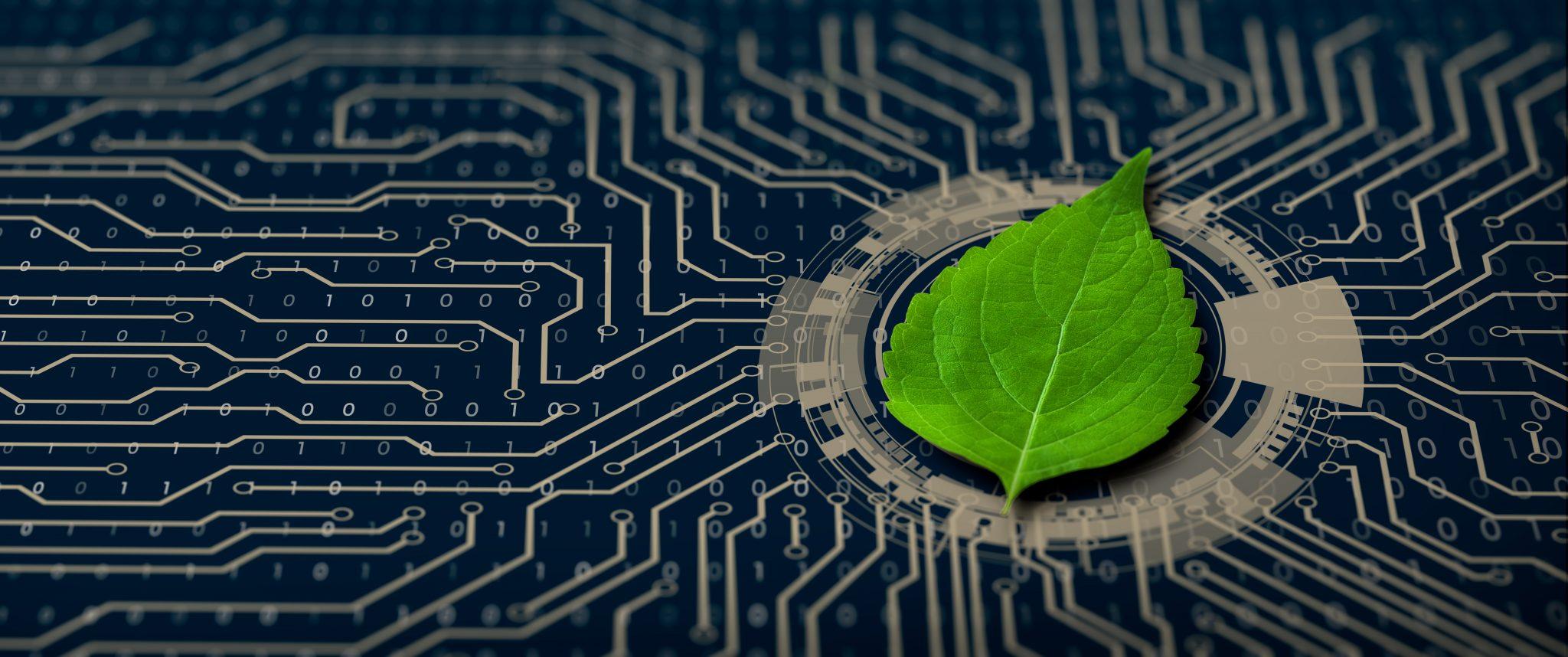 2048x858 Why Public Cloud Doesn't Mean Eco Friendly, And How You Can Find A Sustainable Finance Solution United States
