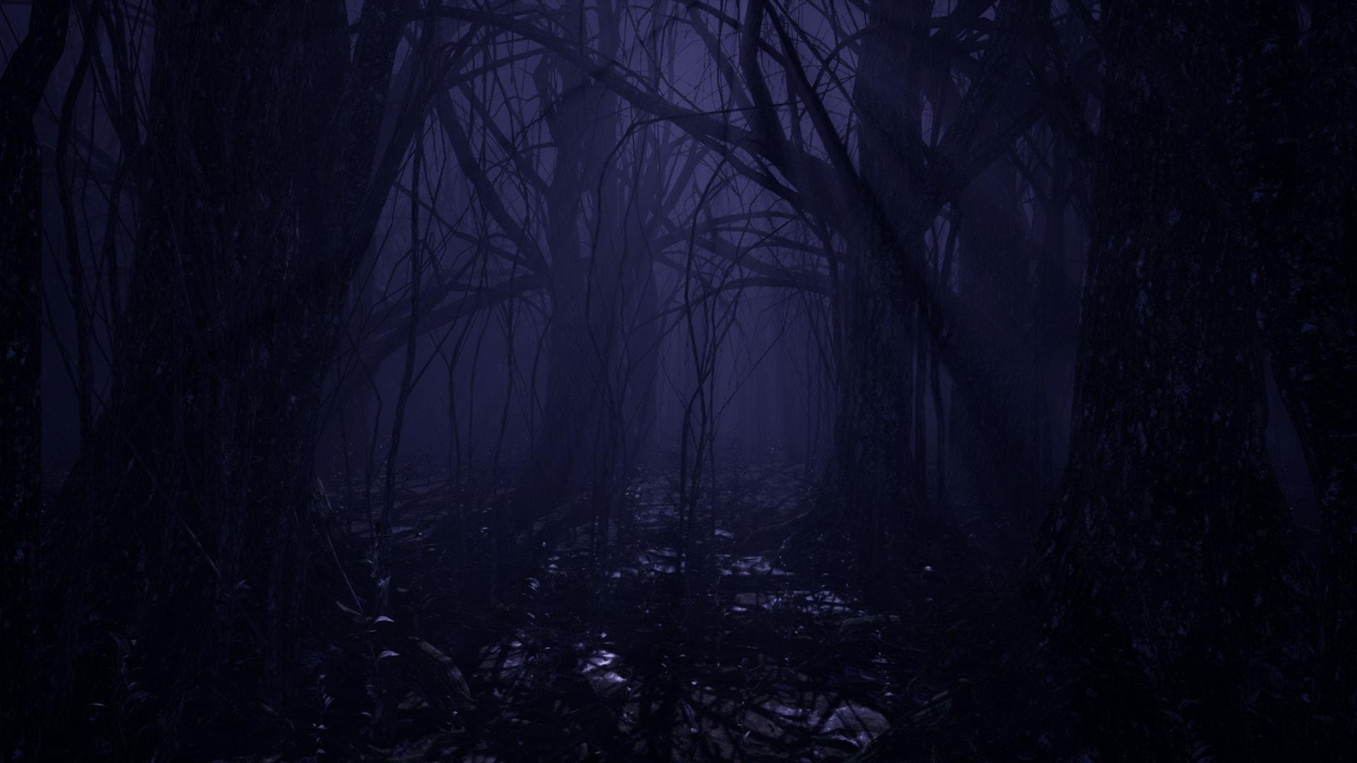 1920x1080 Free download Dark Forest in Environments UE Marketplace [1920x1080] for your Desktop, Mobile & Tablet. Explore Black Forest Winter Wallpaper. Black Forest Wallpaper, Forest Background, Forest Background