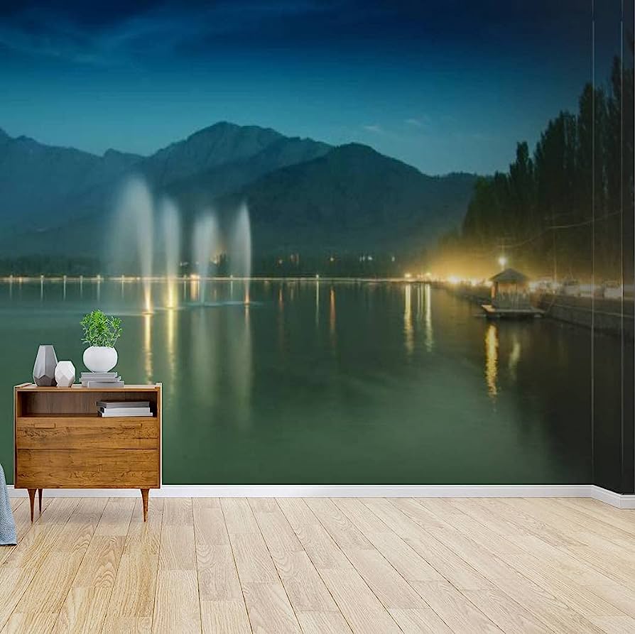 894x893 Wallpaper Canvas Print Fountains on Dal Lake Srinagar J K India Self Adhesive Peel & Stick Wallpaper Wall Mural Wall Decal Wall Sticker Poster Home Craft for Living Room