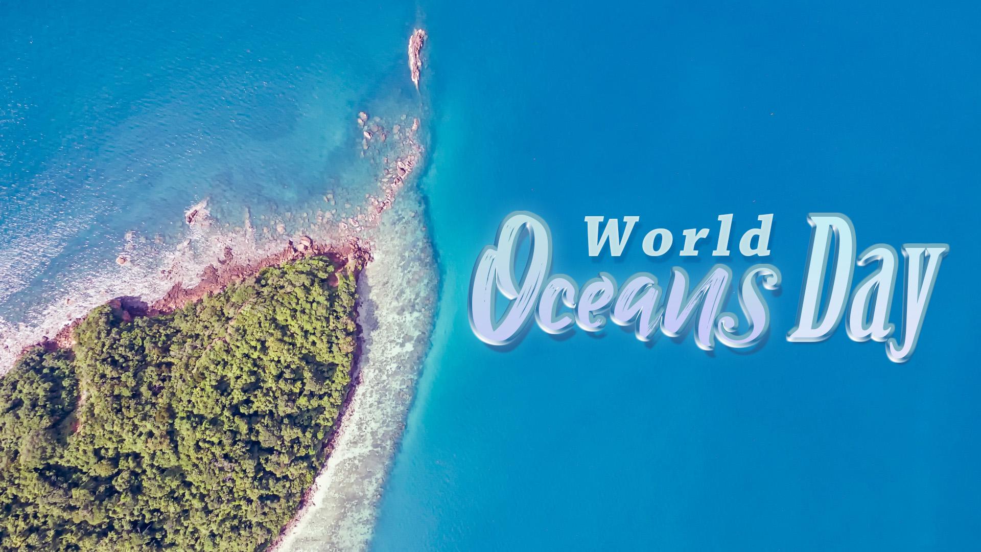 World Oceans Day Wallpapers - Top Free World Oceans Day Backgrounds ...