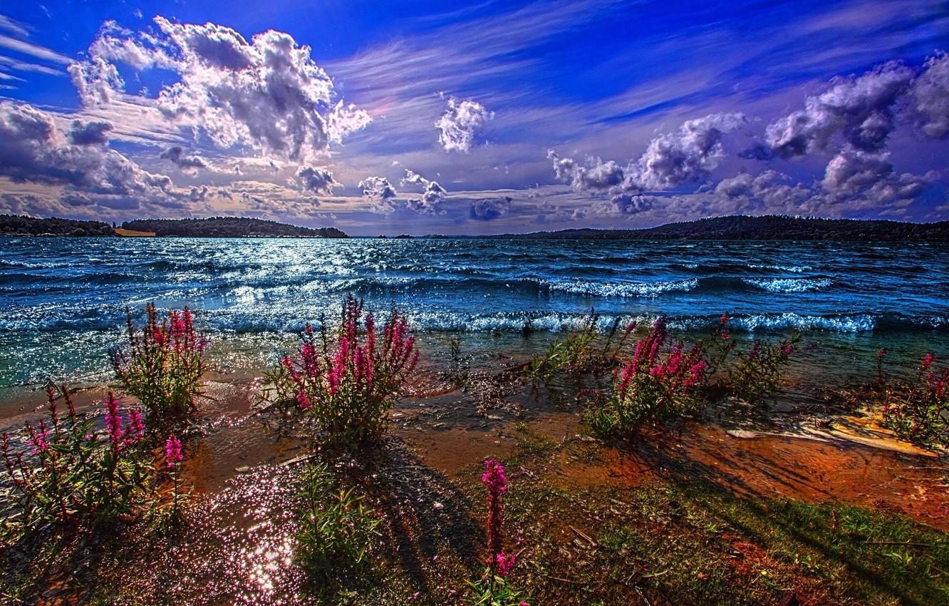 1332x850 Wallpaper MOUNTAINS, HORIZON, The SKY, CLOUDS, FLOWERS, POND, SHORE, DAL, LAKE, The EXCITEMENT image for desktop, section пейзажи