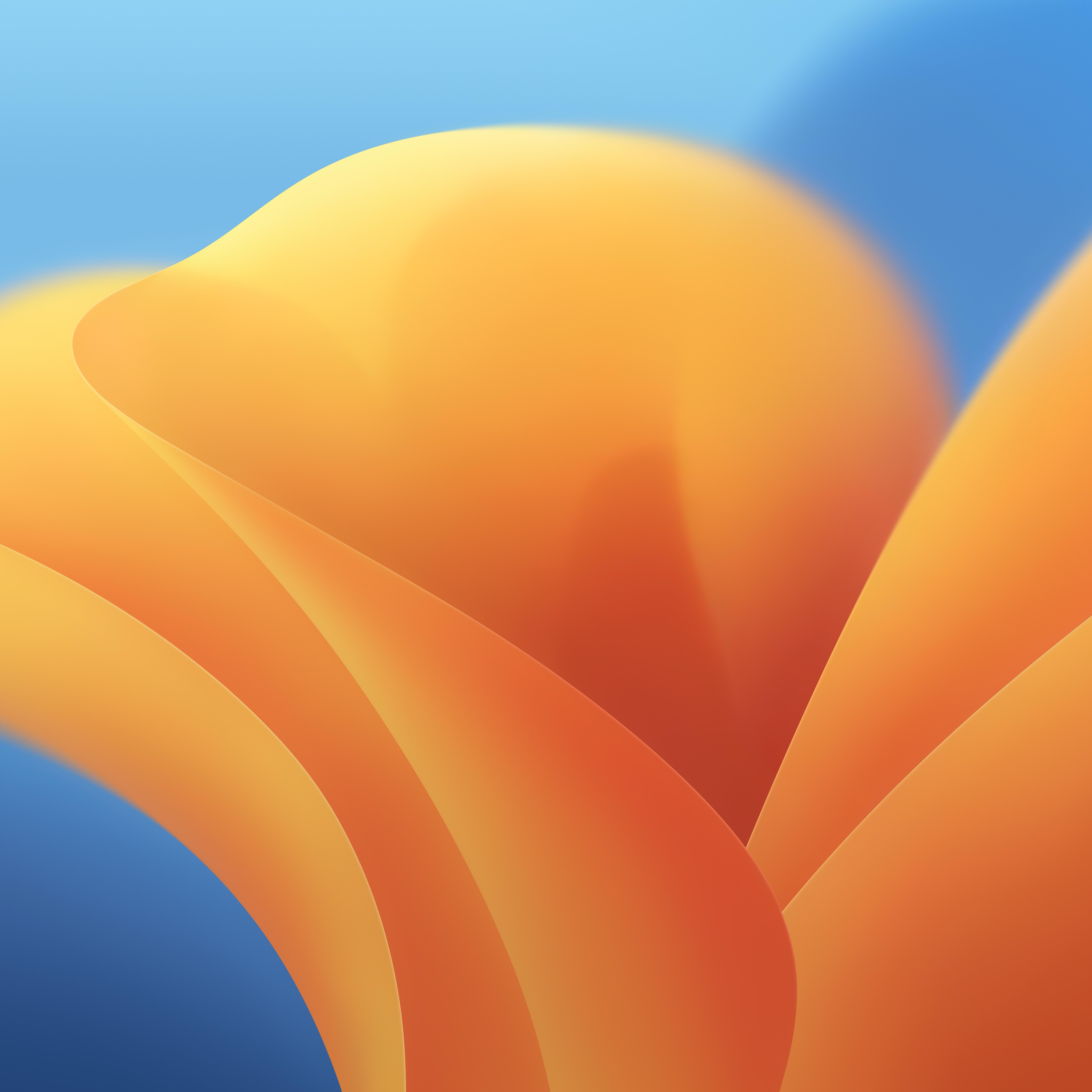 6016x6016 Download the new macOS 13 Ventura wallpaper