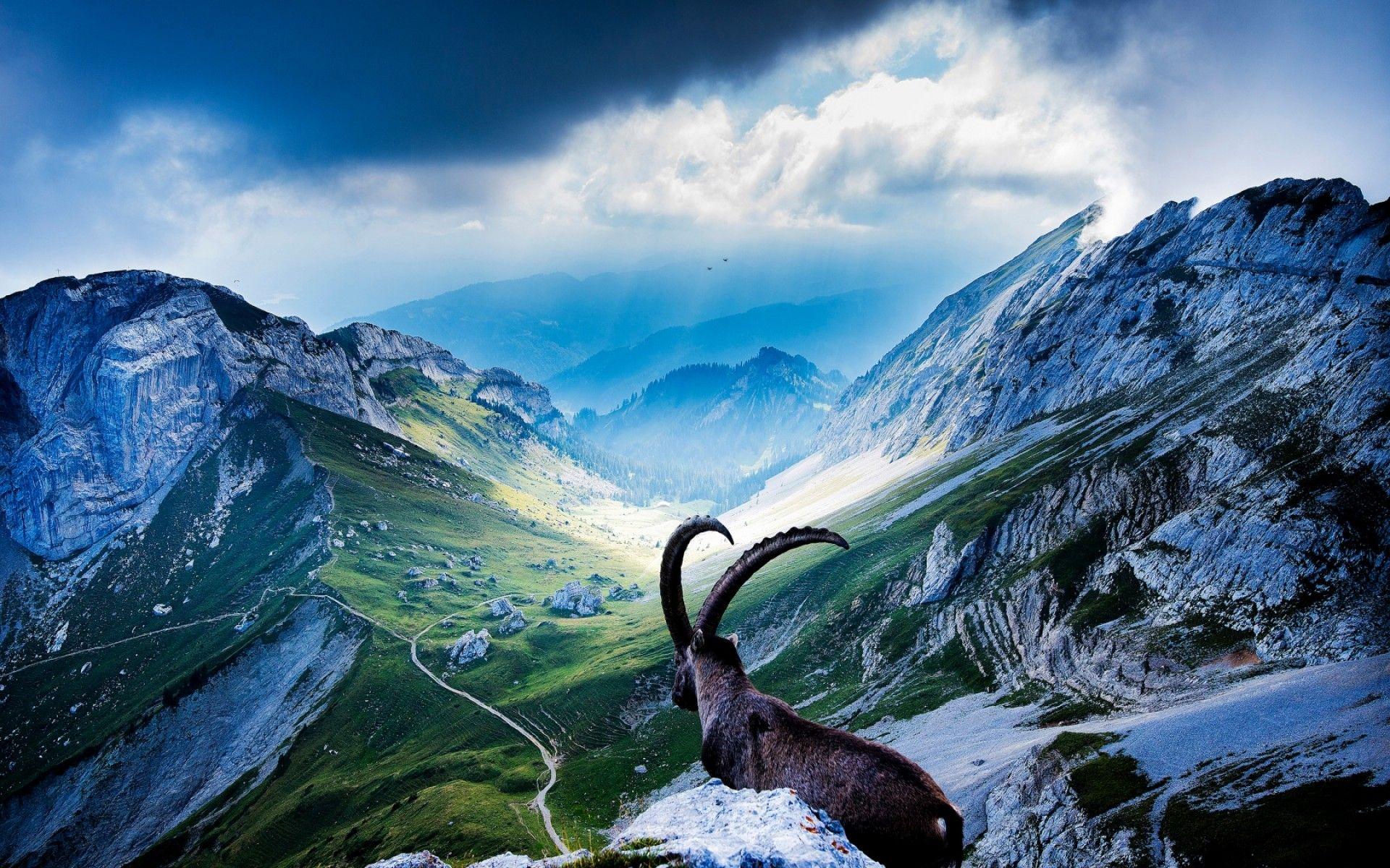 1920x1200 Switzerland Mountains (id: 20884)