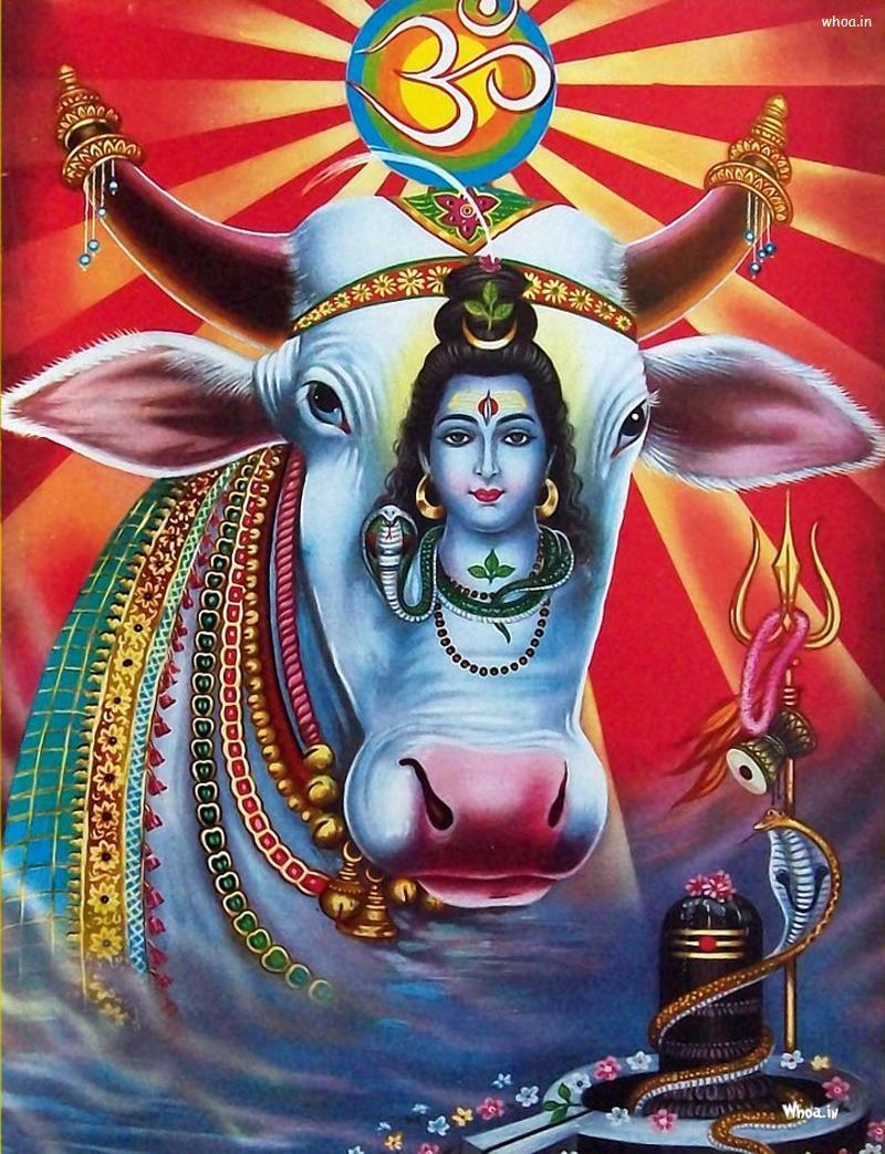 800x1043 Lord Shiva HD Wallpaper Free Download
